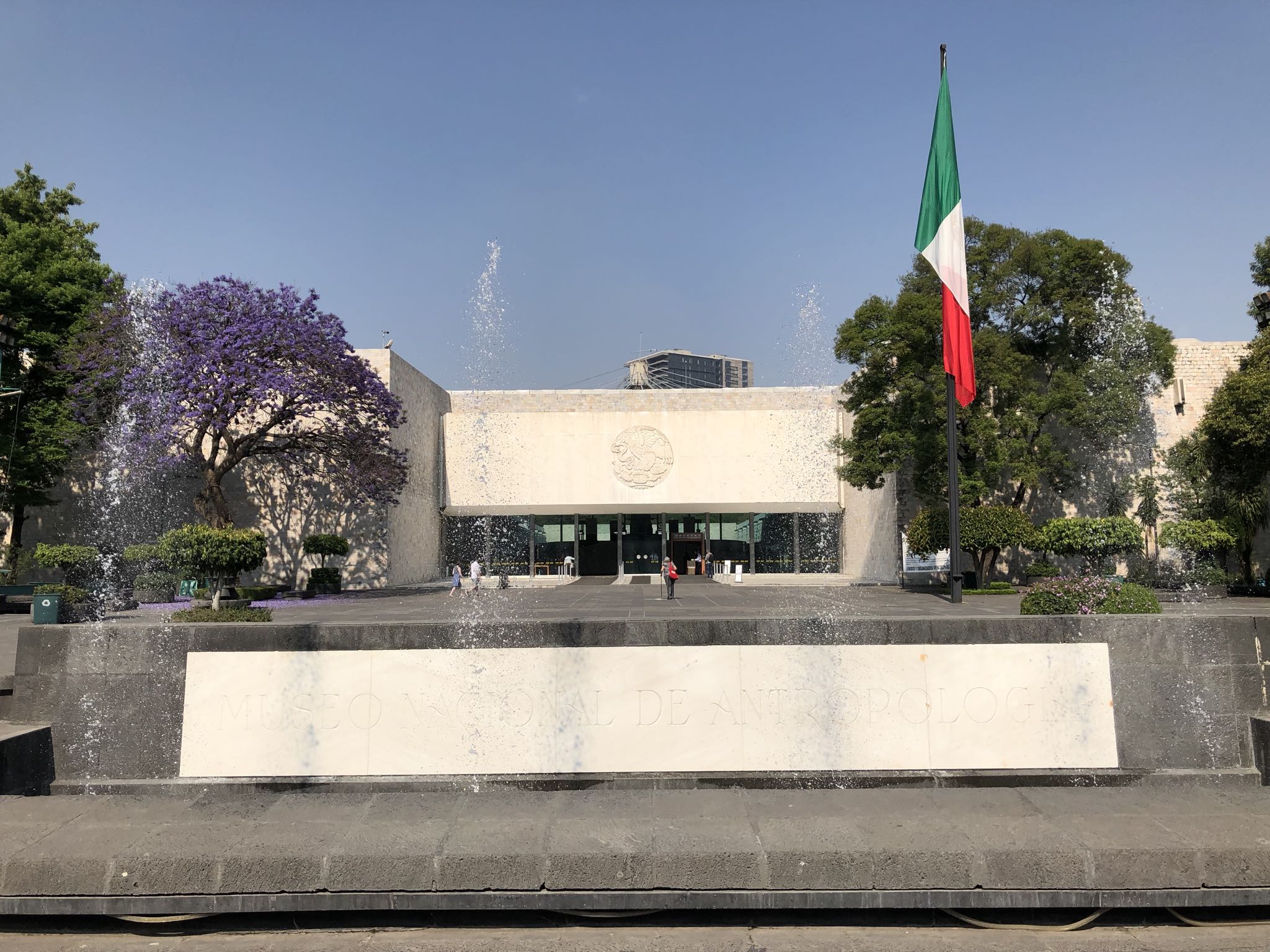 Photo 200 of 362 from the album Highlights Mexico 2019.