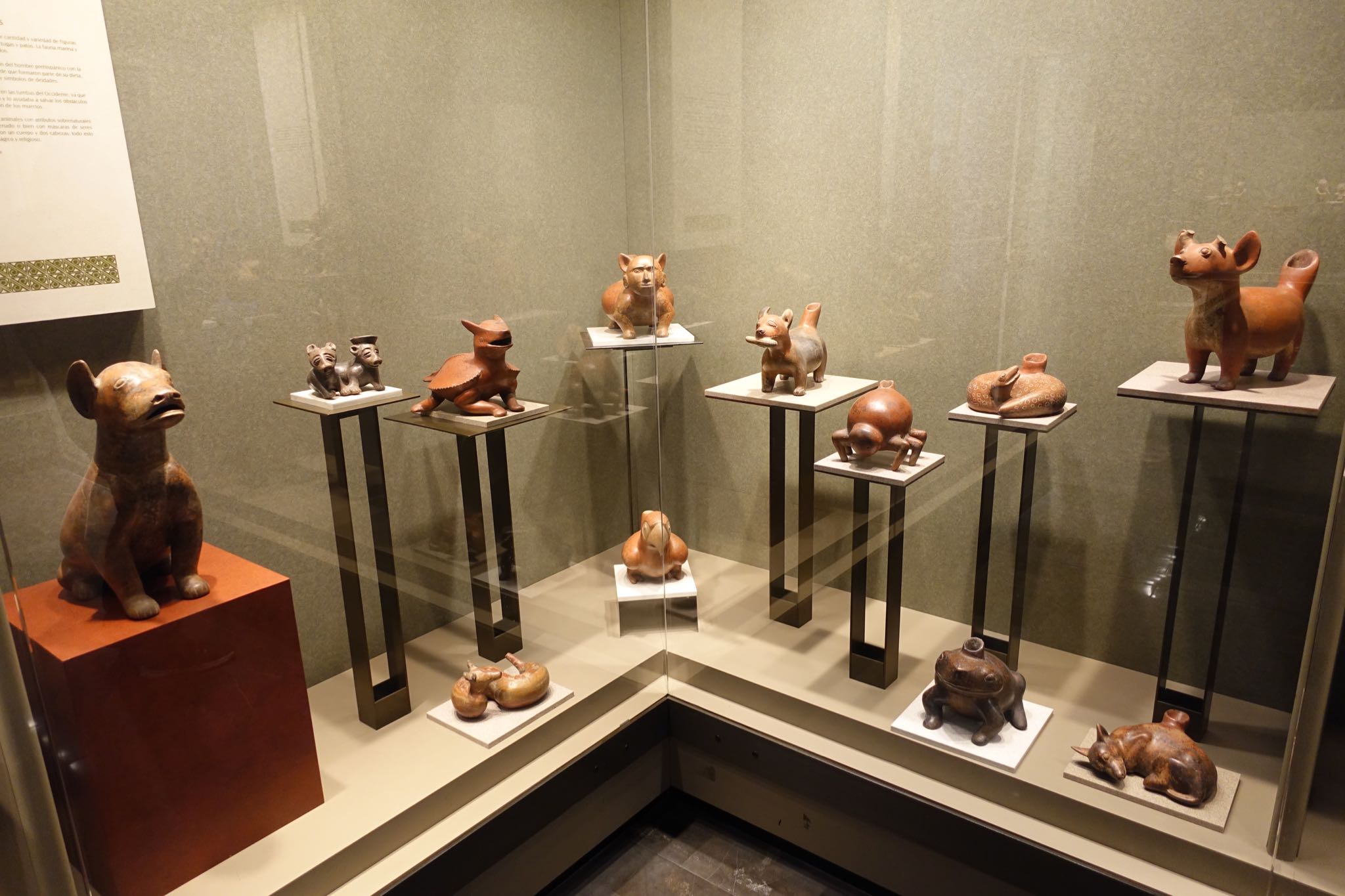 Photo 209 of 362 from the album Highlights Mexico 2019.