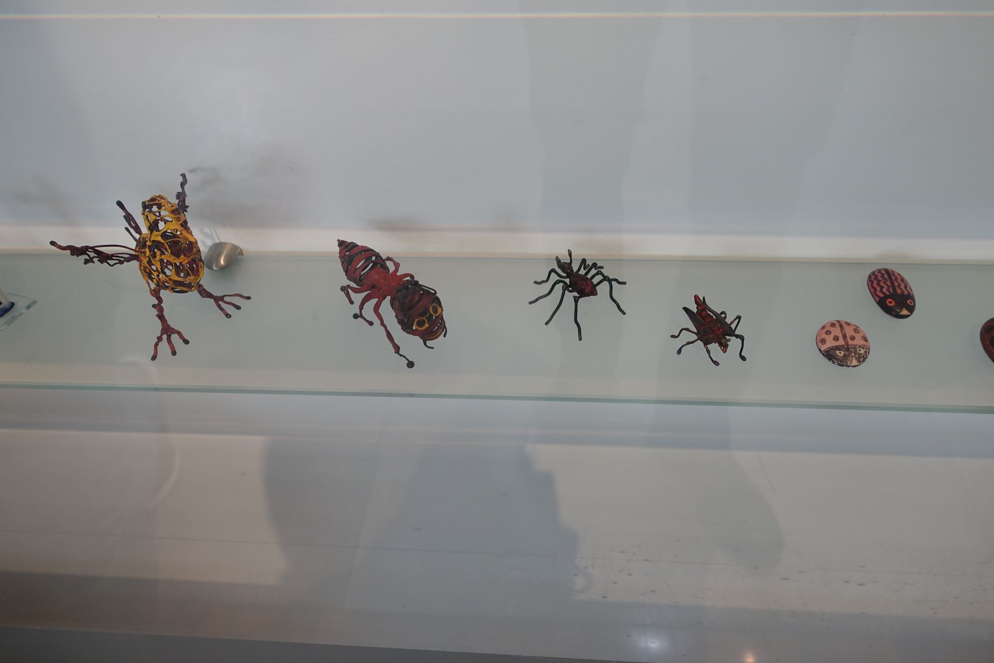 Photo 21 of 362 from the album Highlights Mexico 2019.