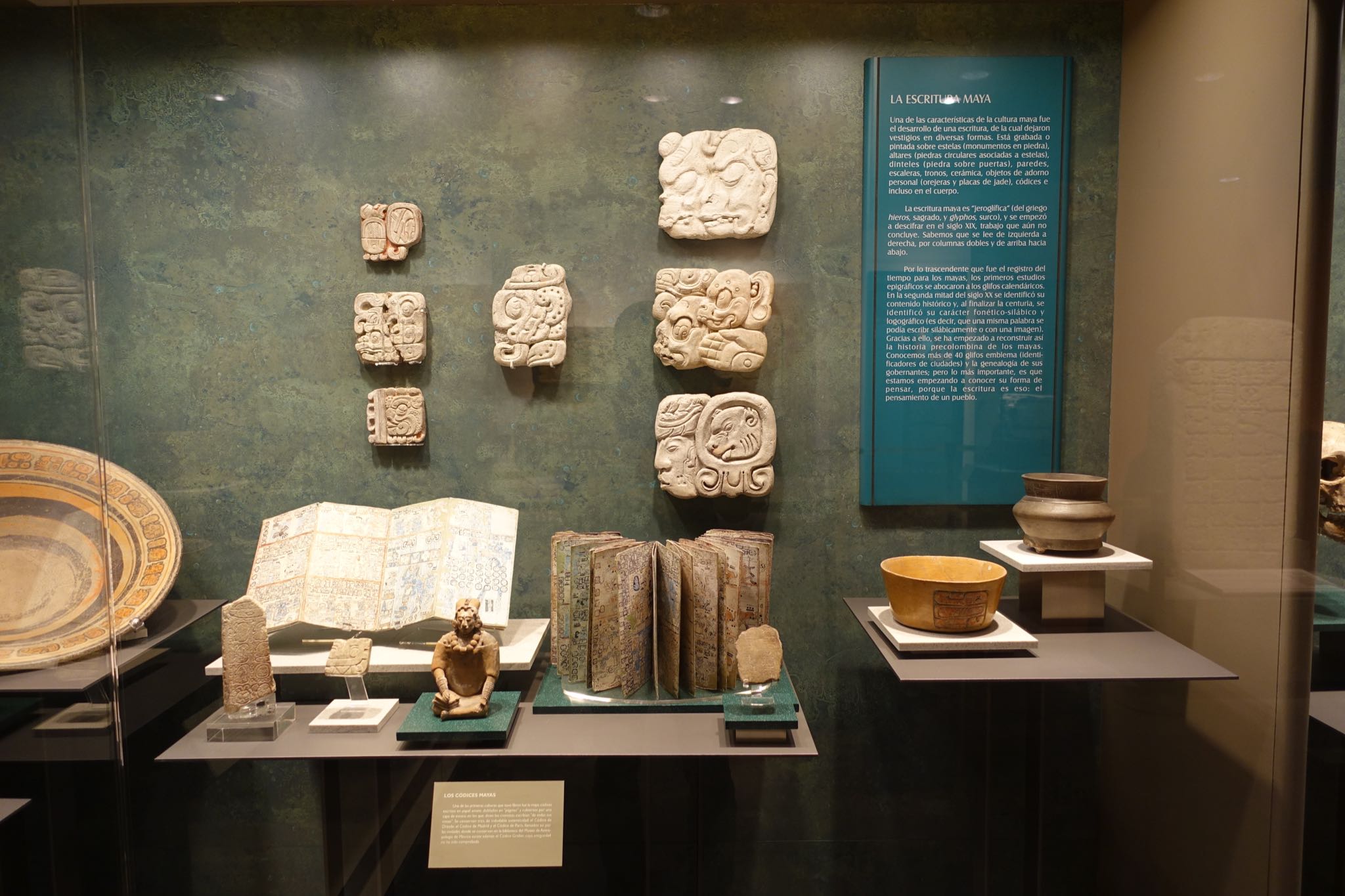 Photo 217 of 362 from the album Highlights Mexico 2019.