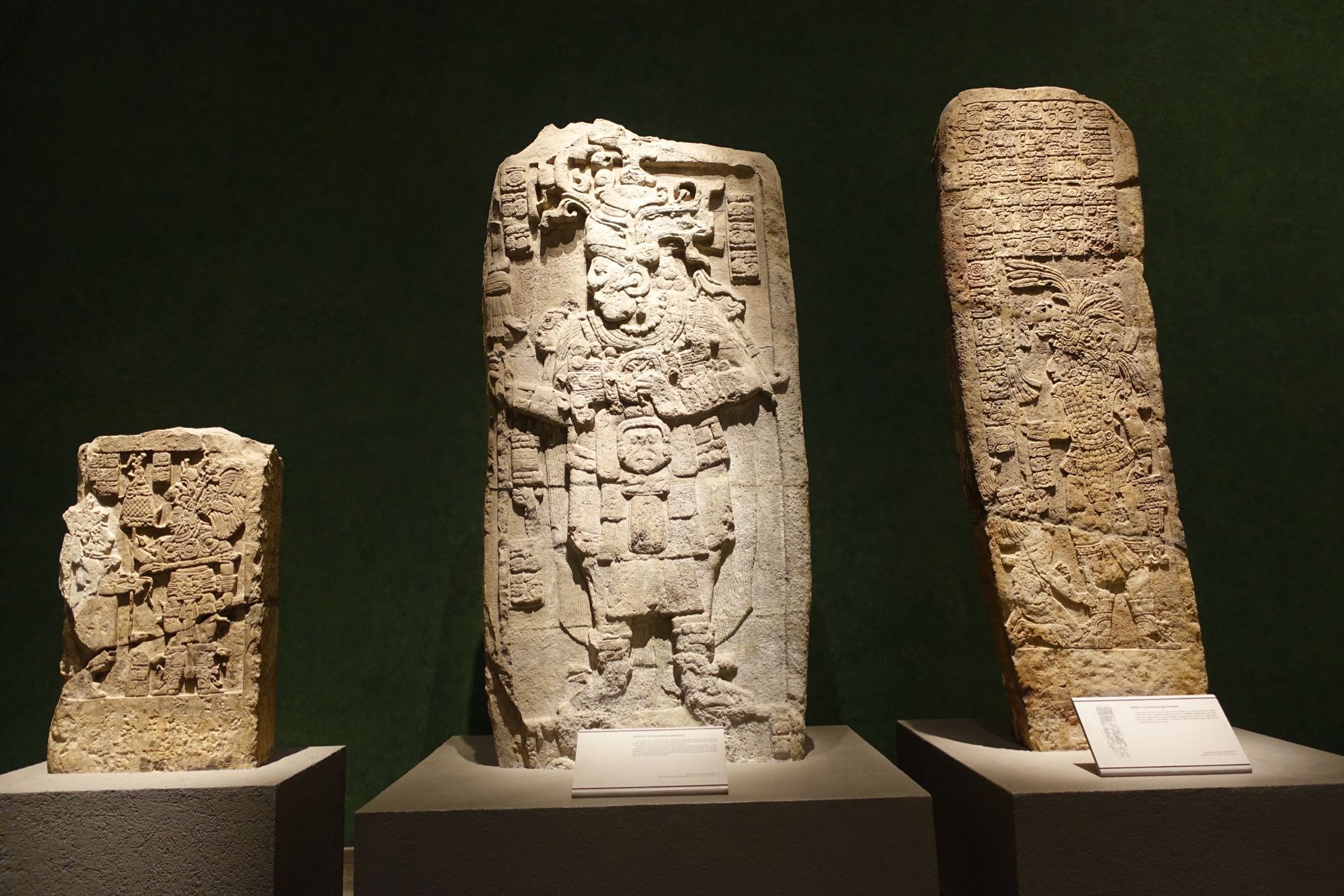 Photo 218 of 362 from the album Highlights Mexico 2019.