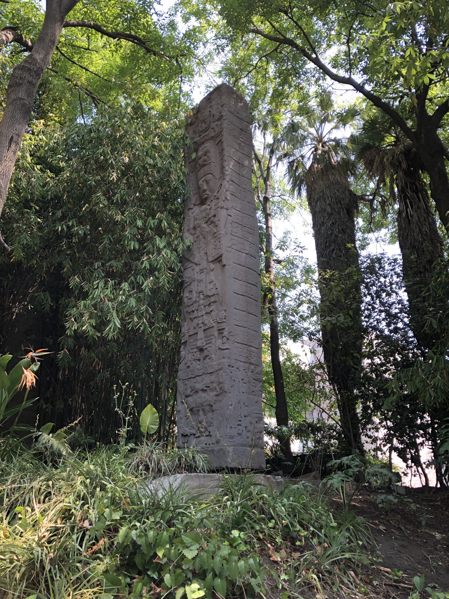 Photo 219 of 362 from the album Highlights Mexico 2019.