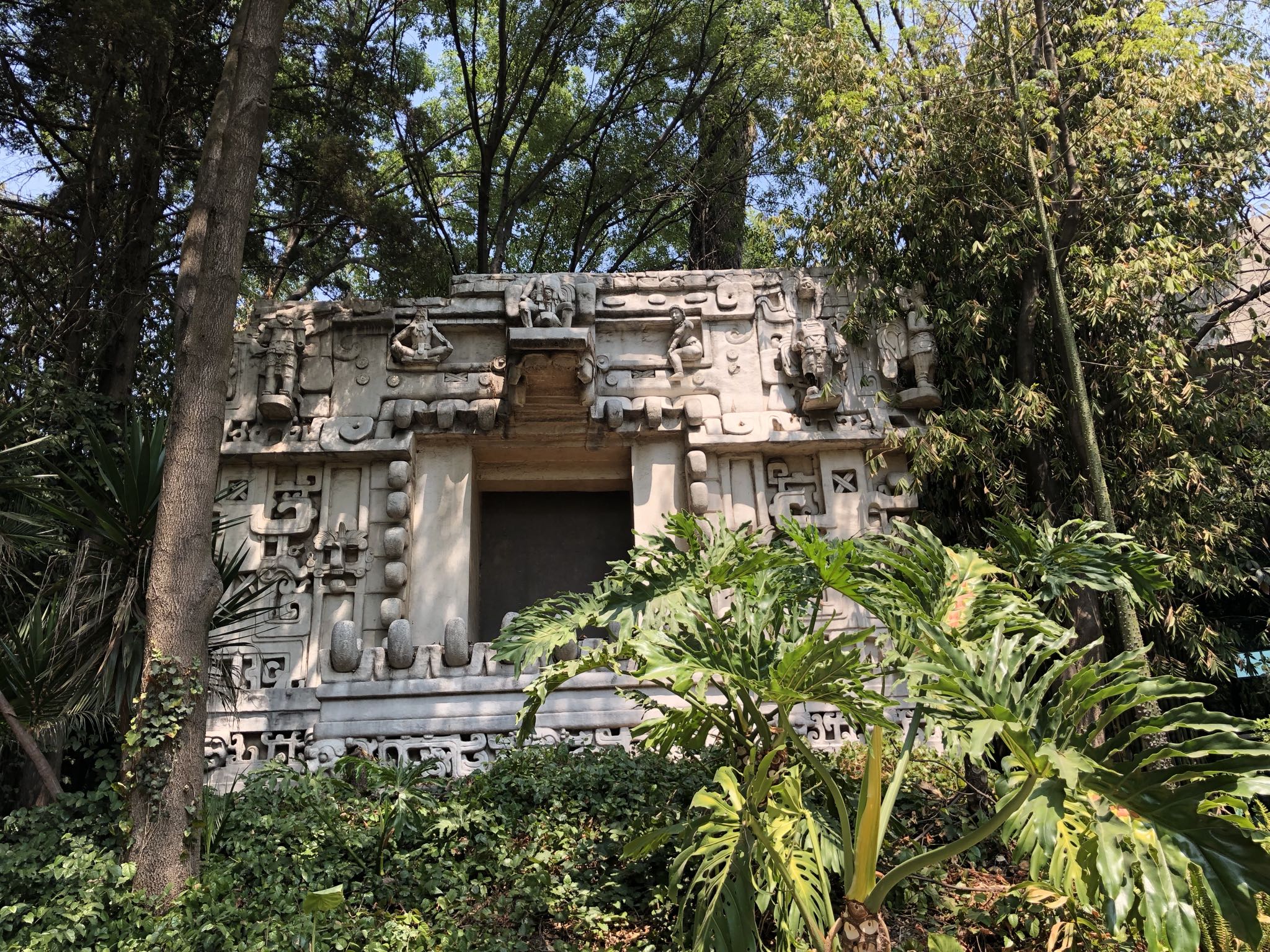 Photo 220 of 362 from the album Highlights Mexico 2019.