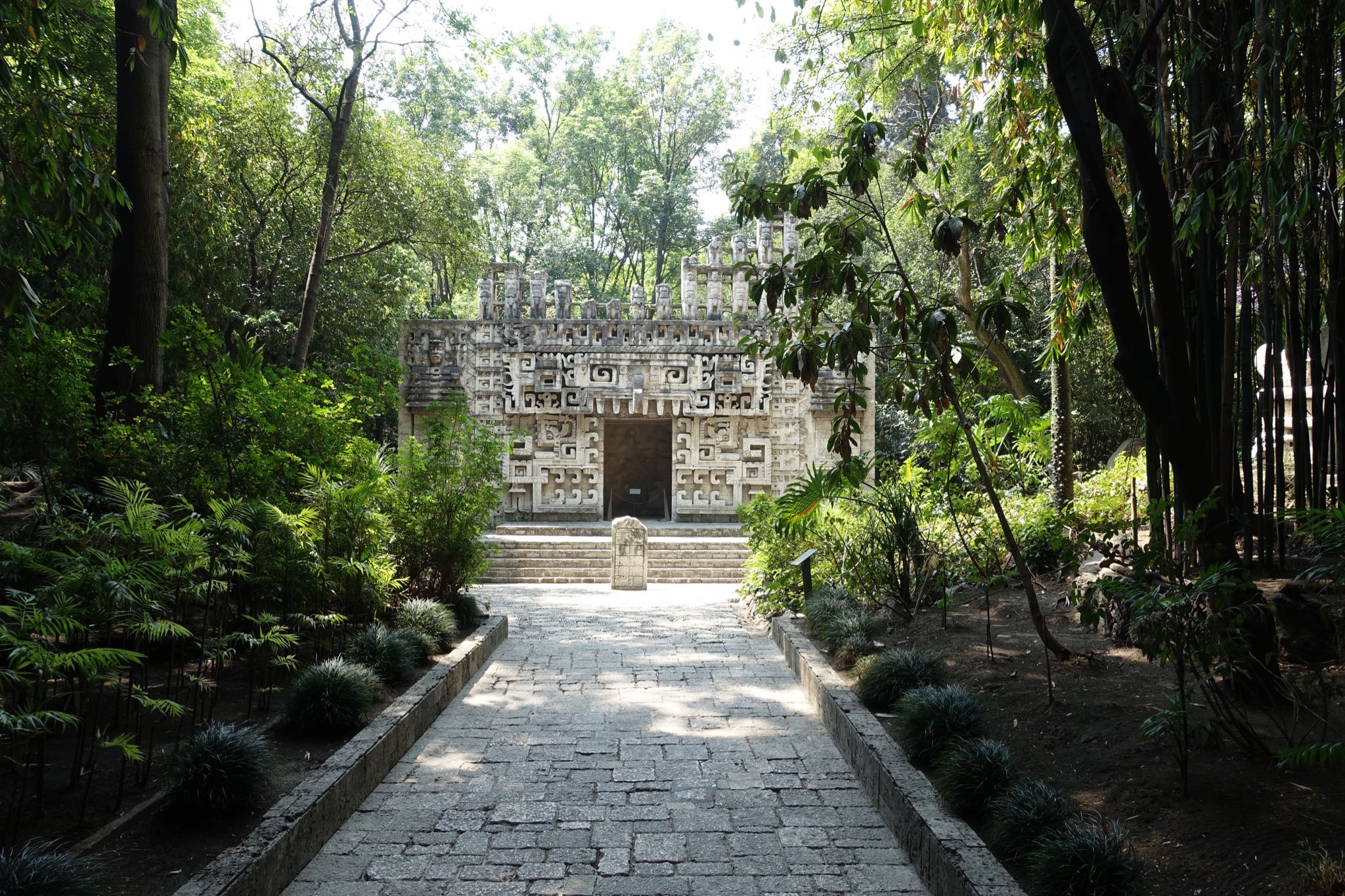 Photo 222 of 362 from the album Highlights Mexico 2019.