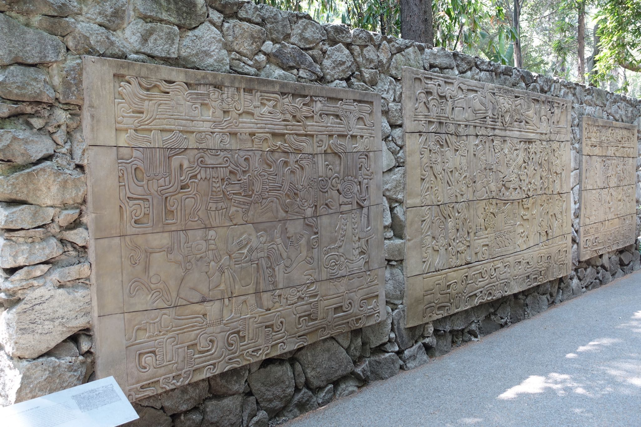 Photo 229 of 362 from the album Highlights Mexico 2019.