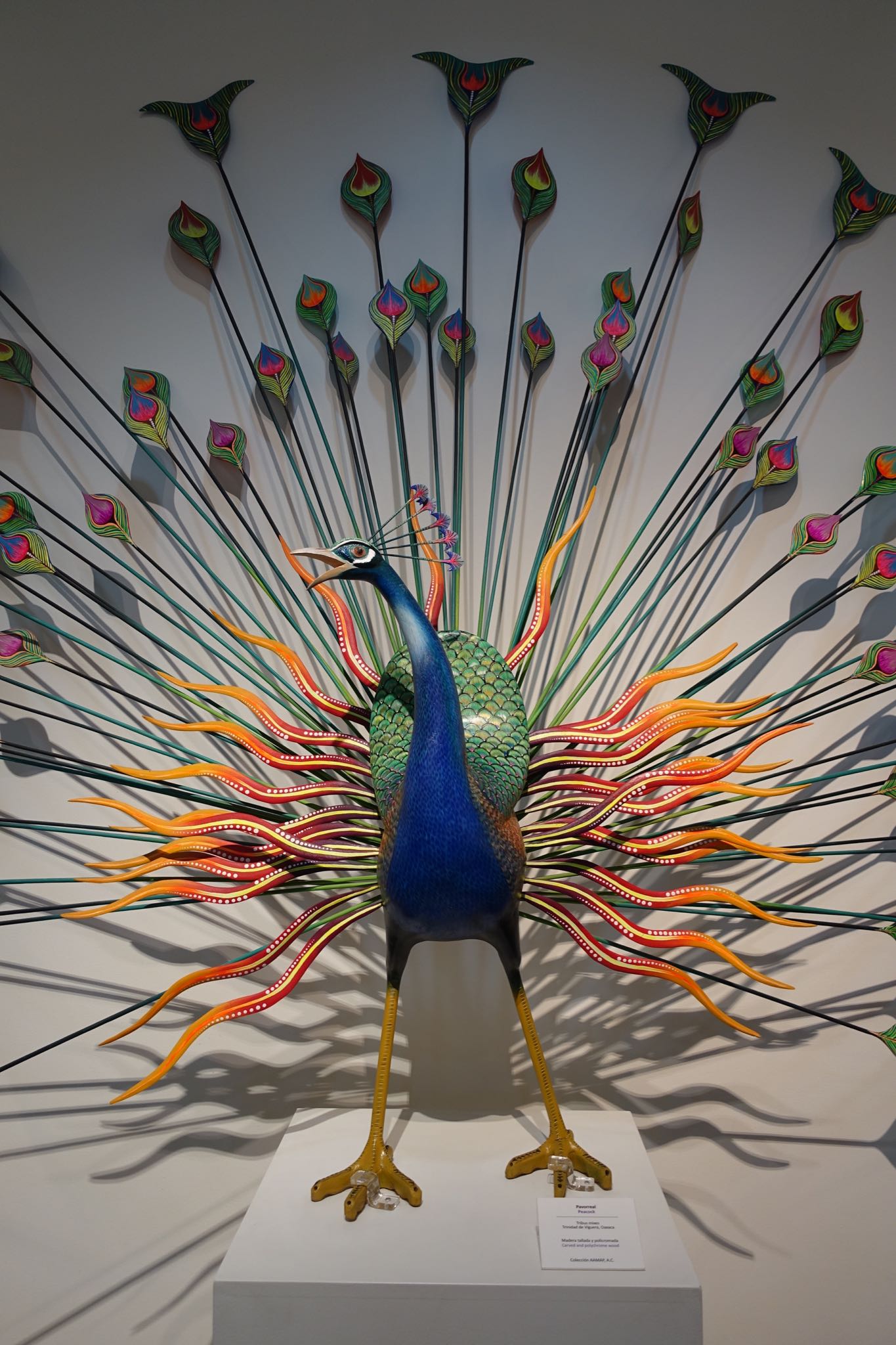 Photo 23 of 362 from the album Highlights Mexico 2019.