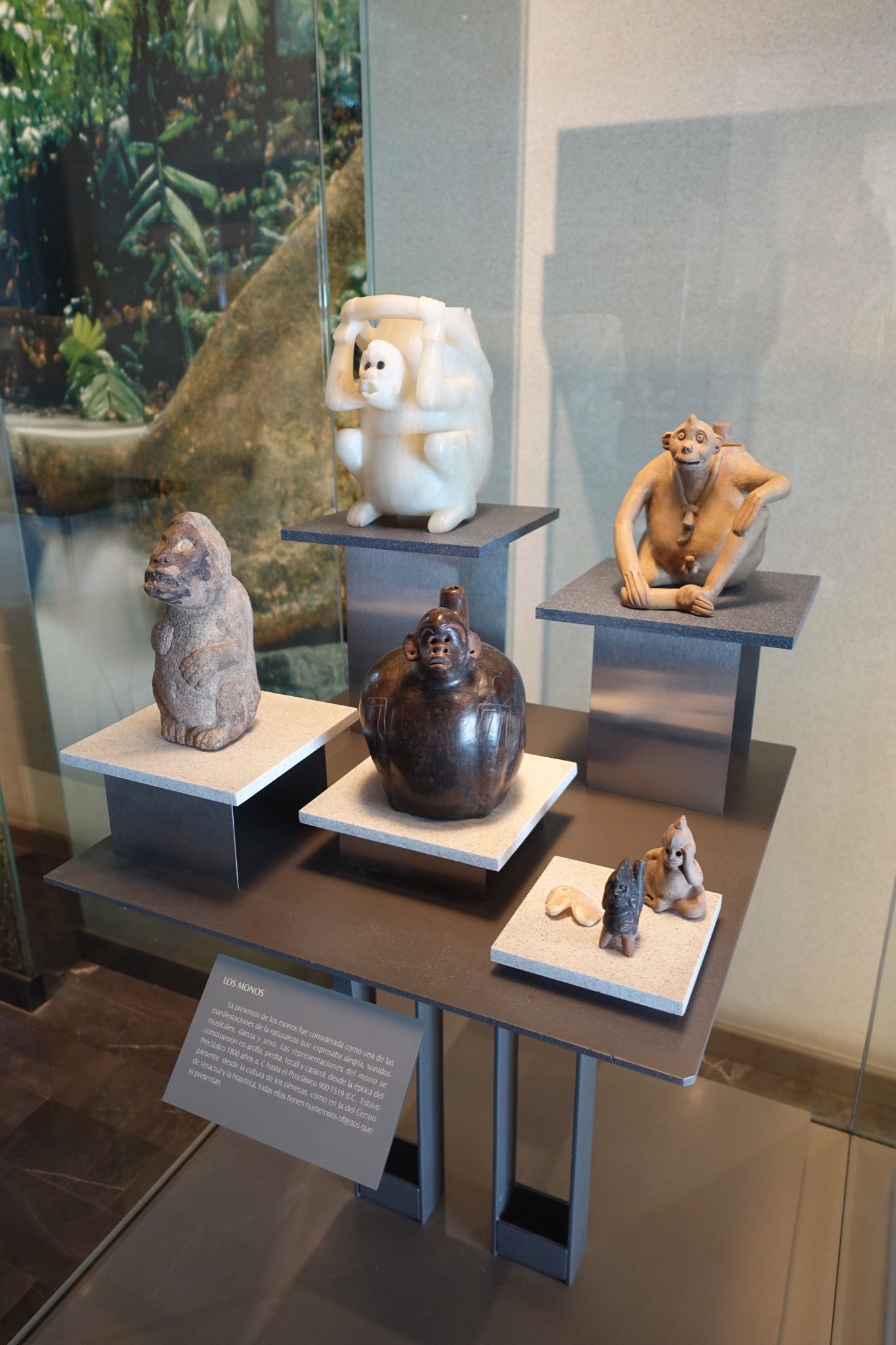 Photo 236 of 362 from the album Highlights Mexico 2019.