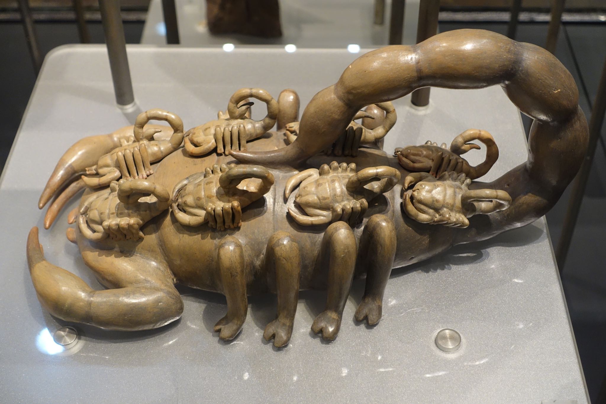 Photo 25 of 362 from the album Highlights Mexico 2019.