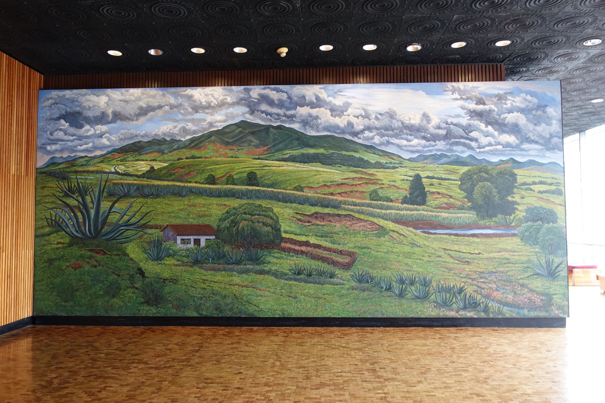 Photo 260 of 362 from the album Highlights Mexico 2019.