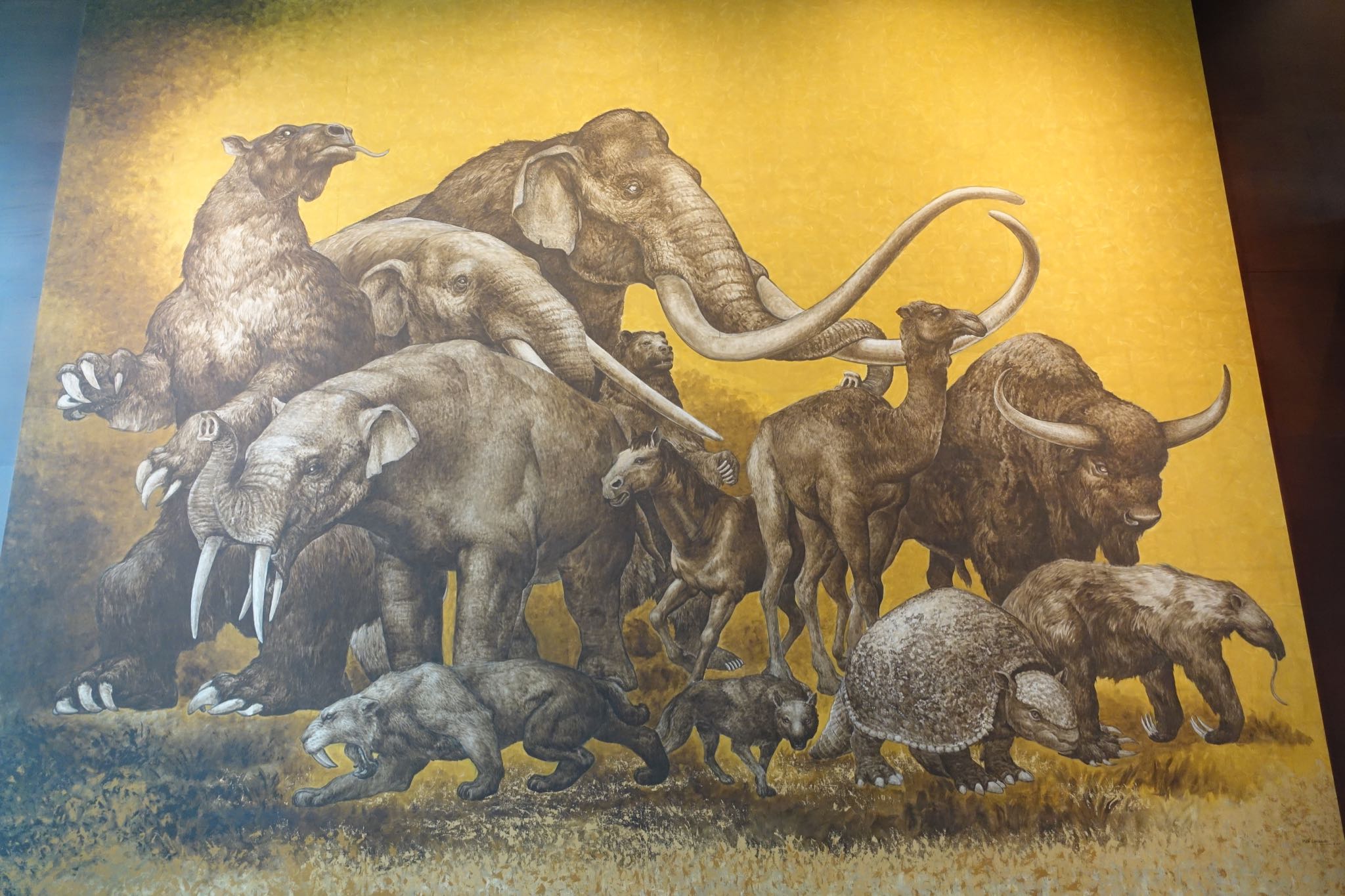 Photo 263 of 362 from the album Highlights Mexico 2019.