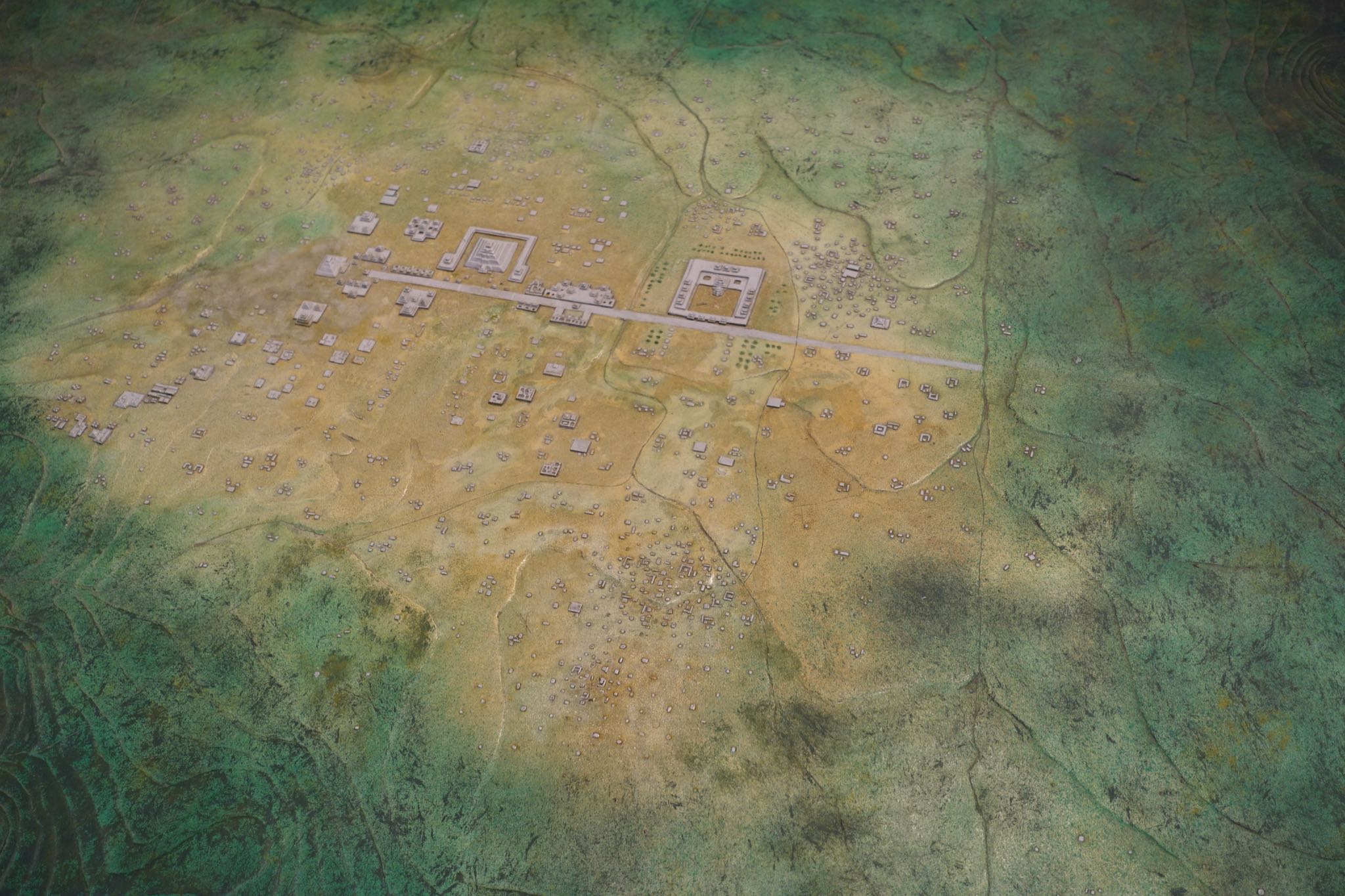 Photo 266 of 362 from the album Highlights Mexico 2019.