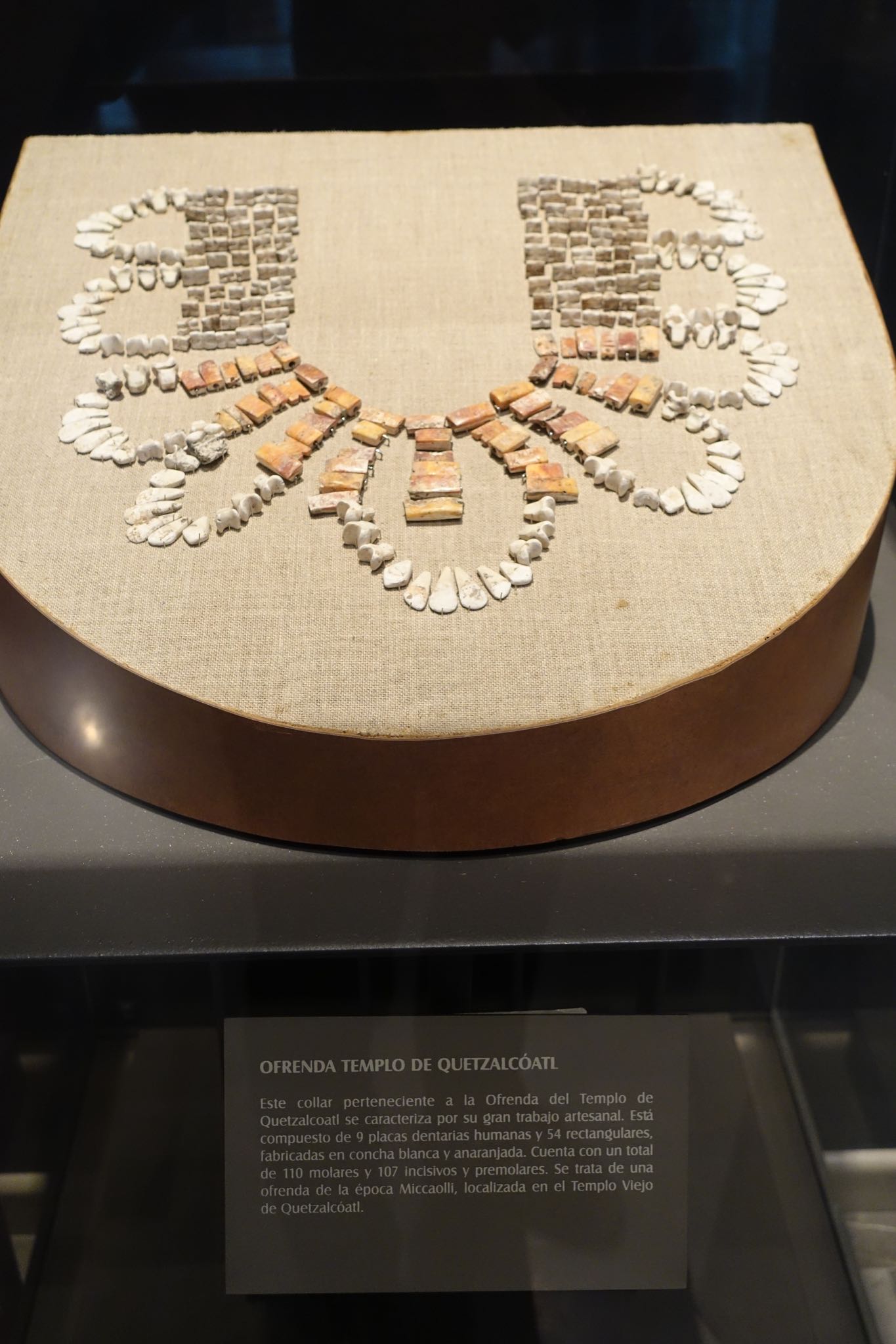 Photo 268 of 362 from the album Highlights Mexico 2019.