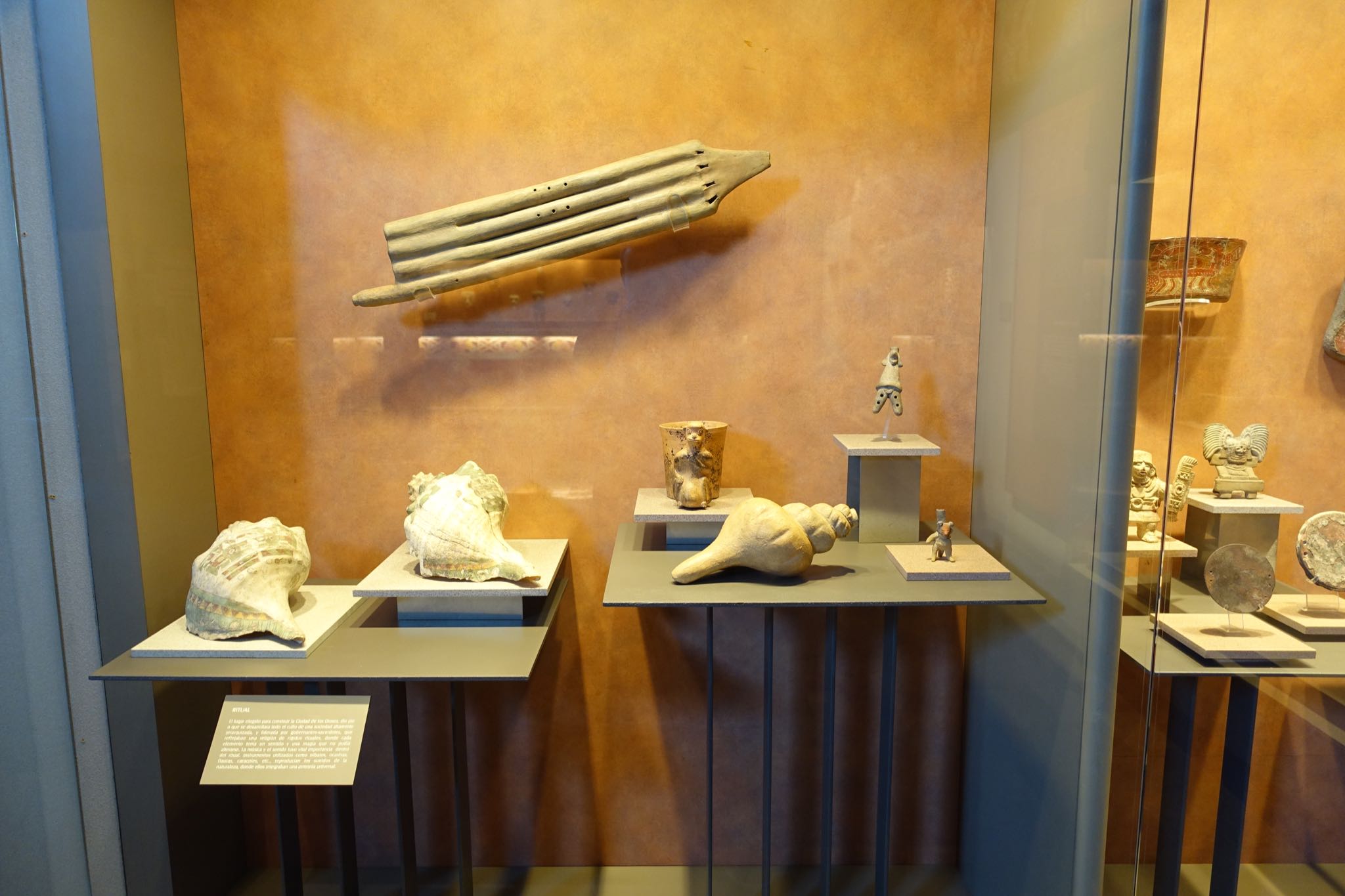 Photo 279 of 362 from the album Highlights Mexico 2019.