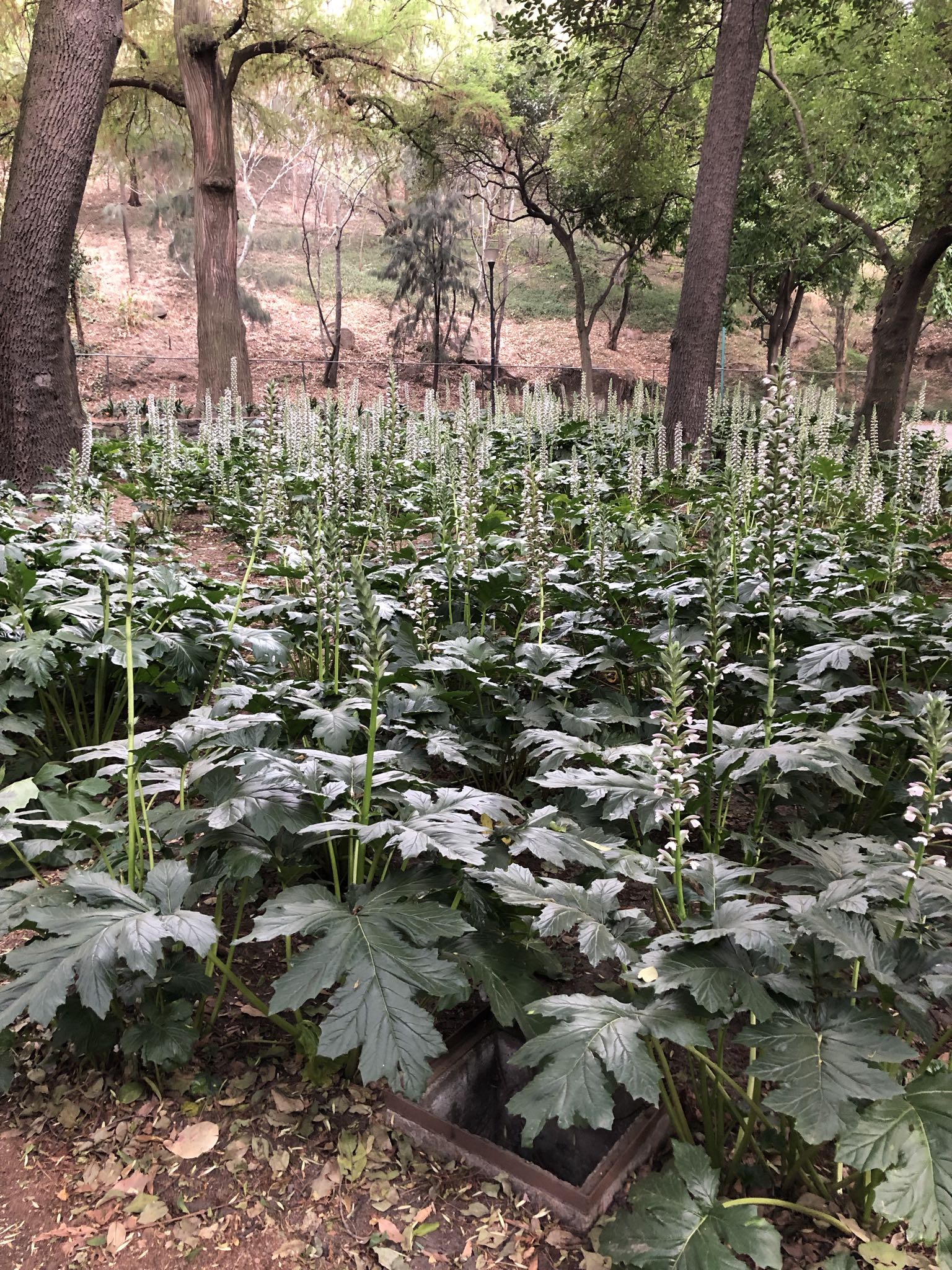 Photo 282 of 362 from the album Highlights Mexico 2019.