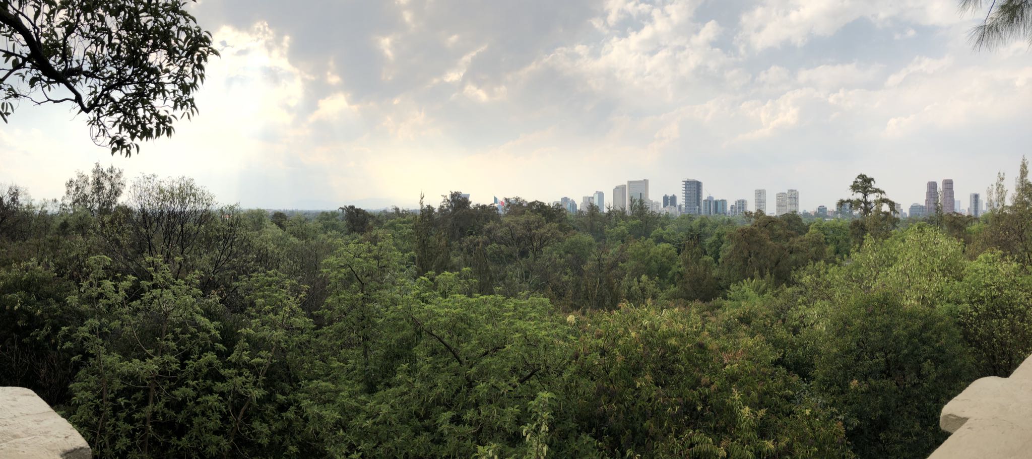 Photo 286 of 362 from the album Highlights Mexico 2019.