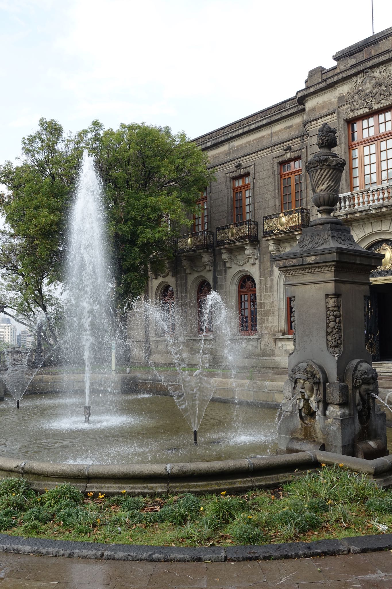 Photo 288 of 362 from the album Highlights Mexico 2019.