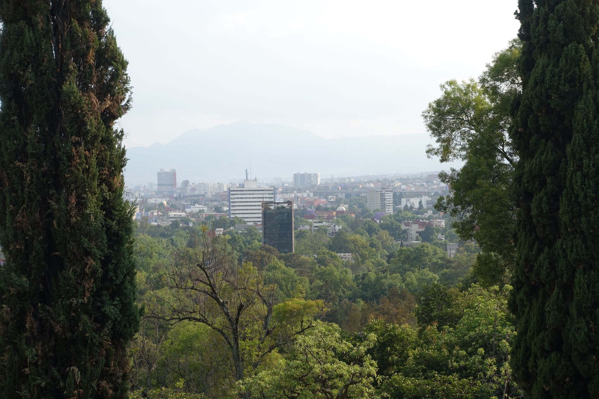 Photo 298 of 362 from the album Highlights Mexico 2019.