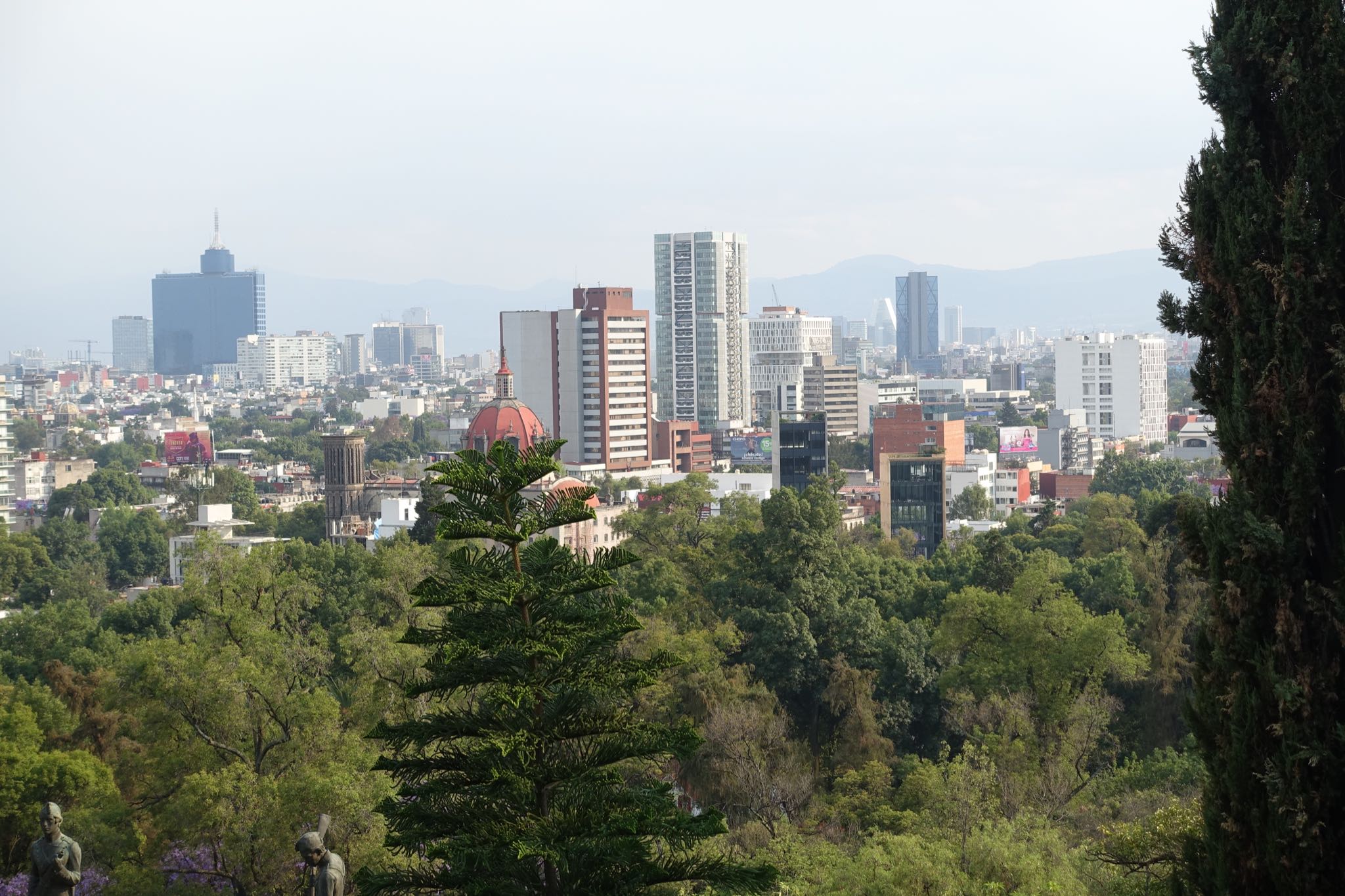 Photo 299 of 362 from the album Highlights Mexico 2019.