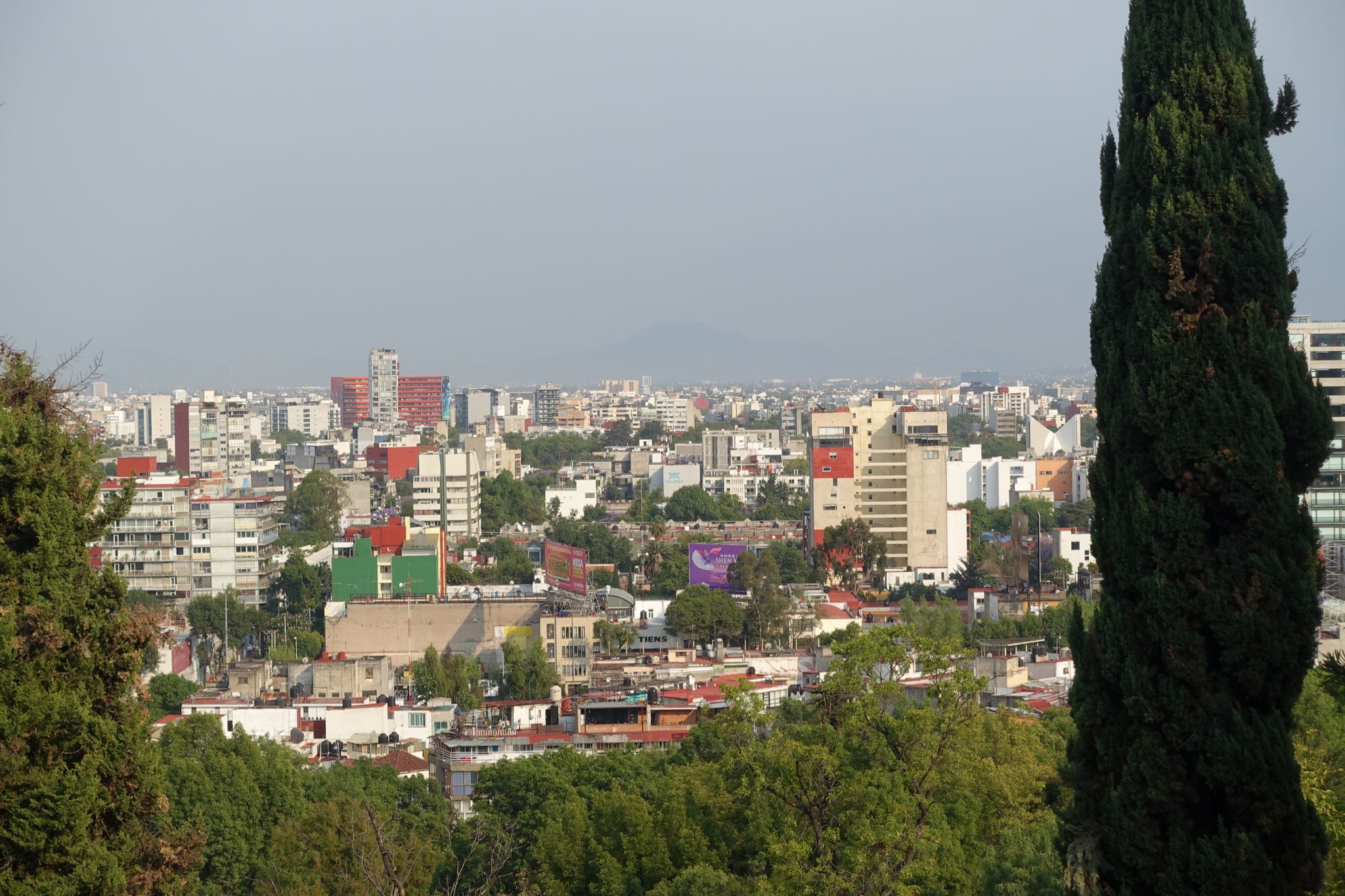 Photo 300 of 362 from the album Highlights Mexico 2019.