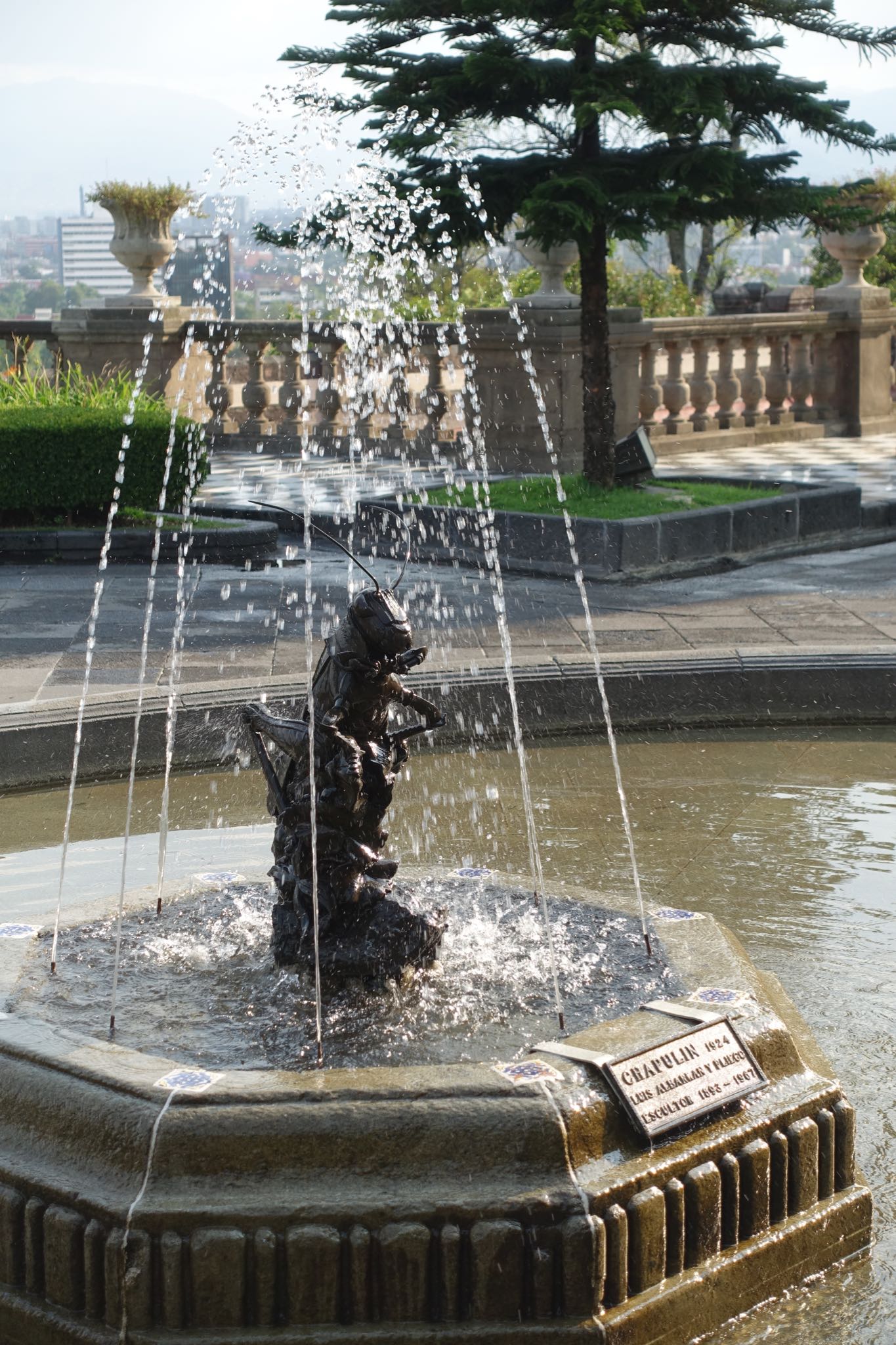 Photo 306 of 362 from the album Highlights Mexico 2019.