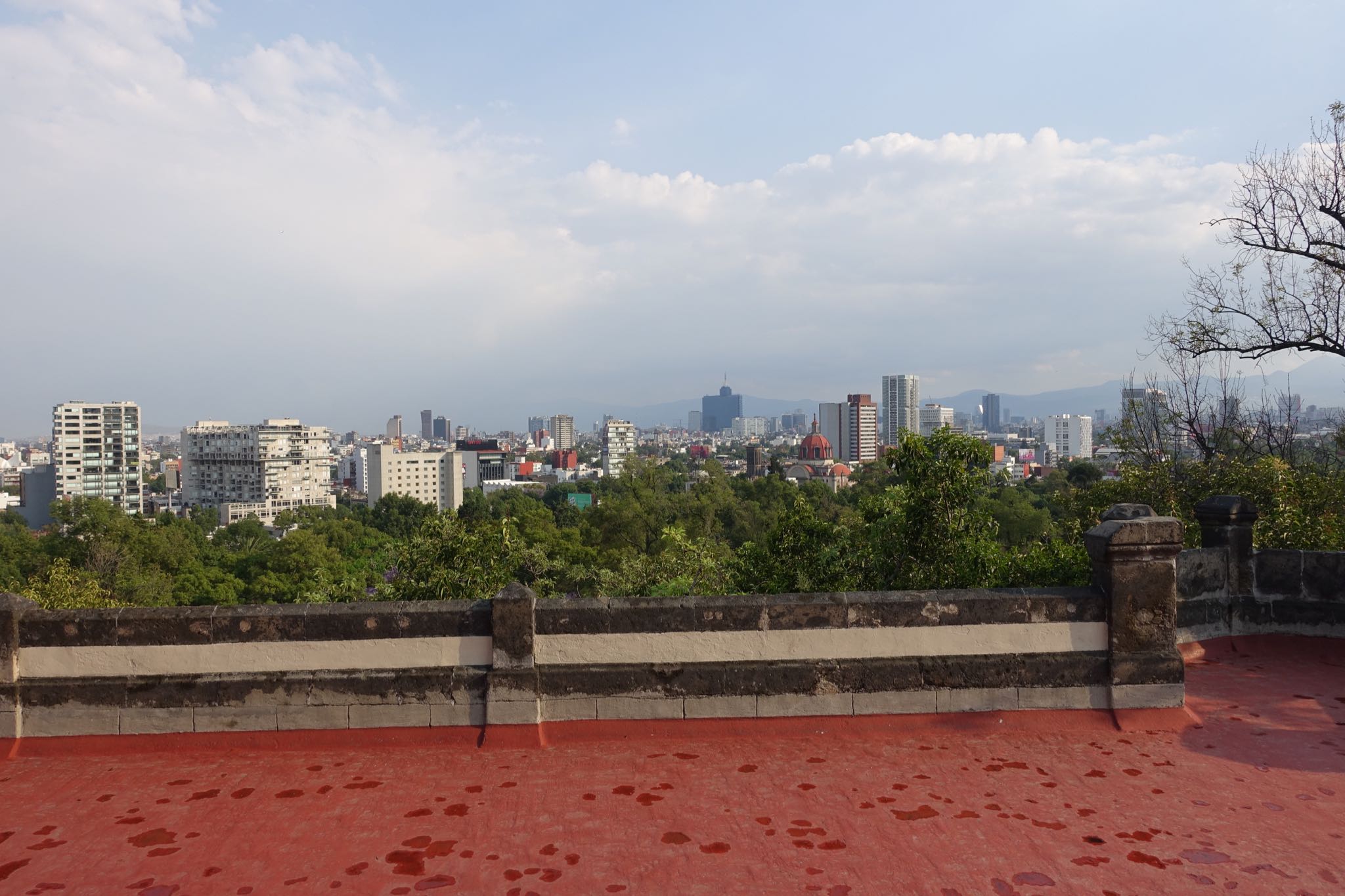 Photo 309 of 362 from the album Highlights Mexico 2019.