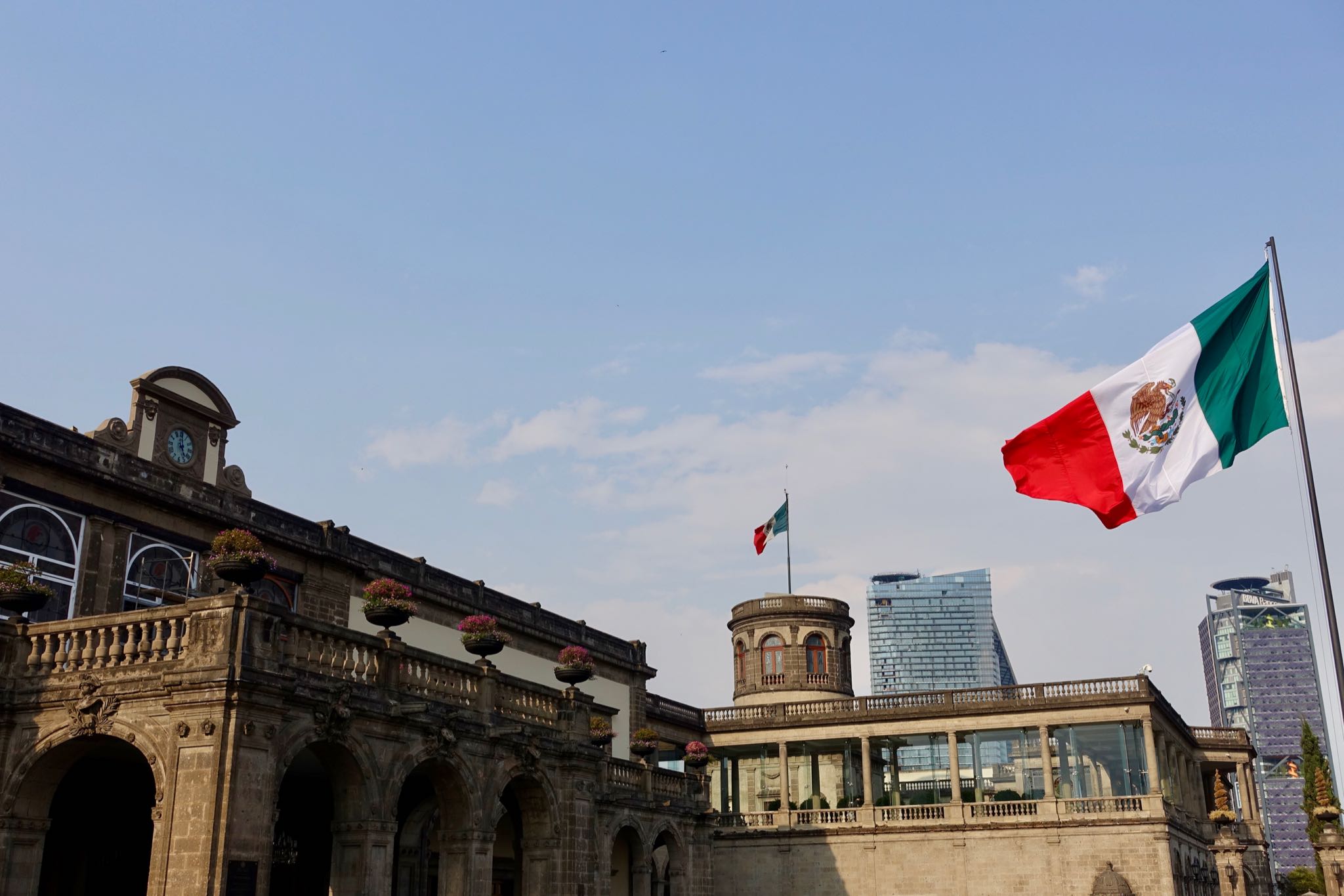 Photo 311 of 362 from the album Highlights Mexico 2019.