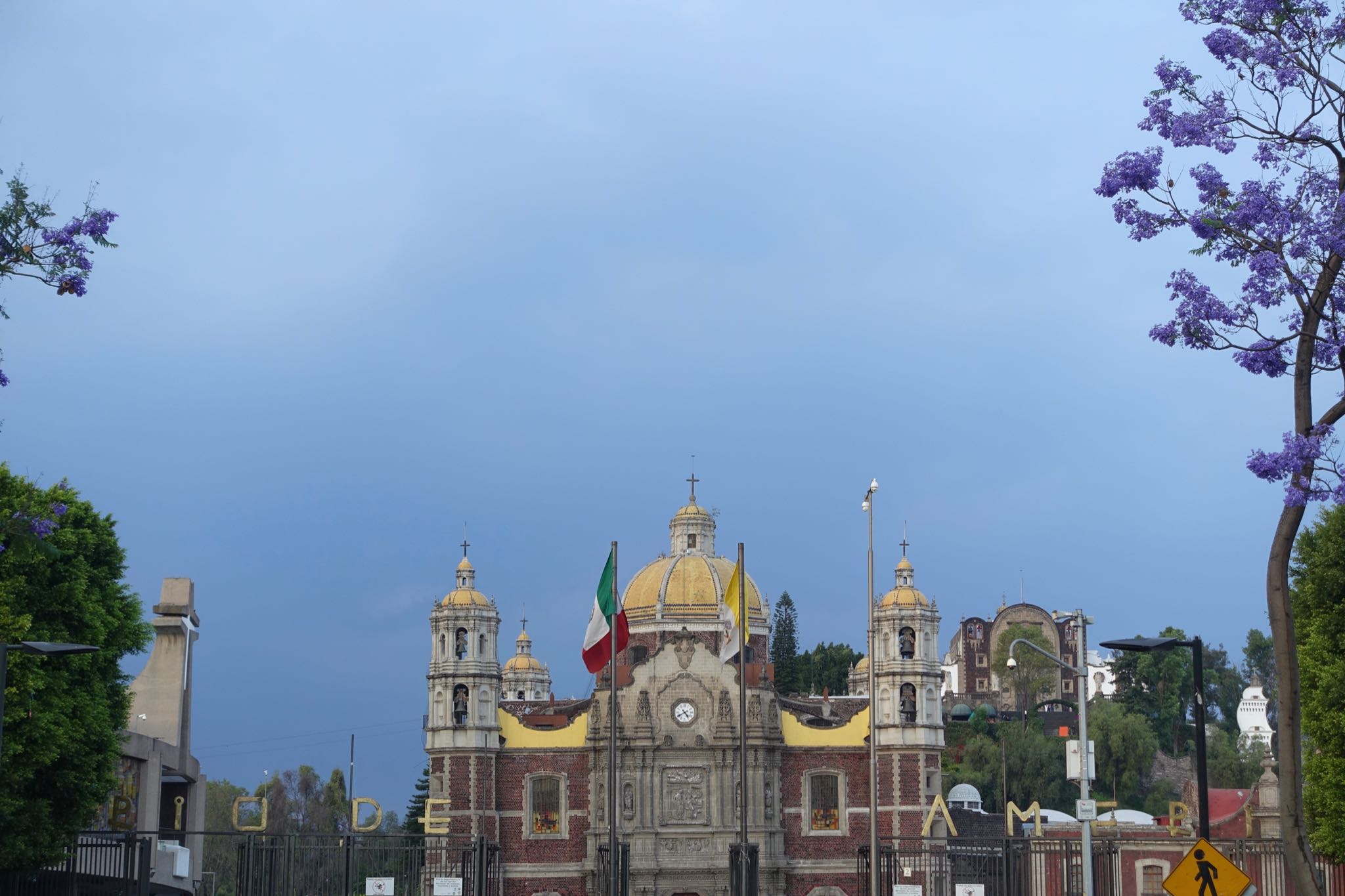 Photo 320 of 362 from the album Highlights Mexico 2019.