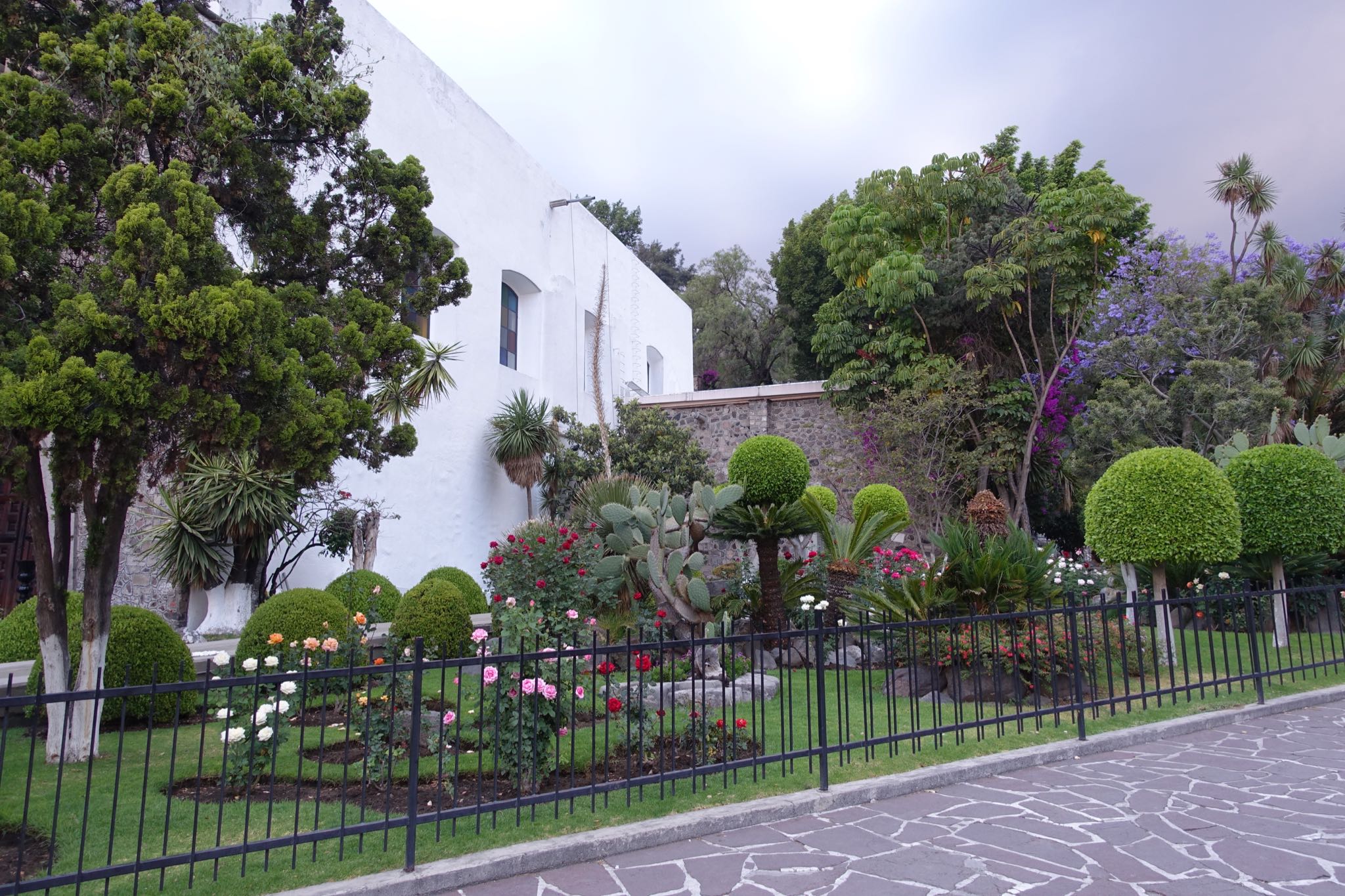 Photo 329 of 362 from the album Highlights Mexico 2019.