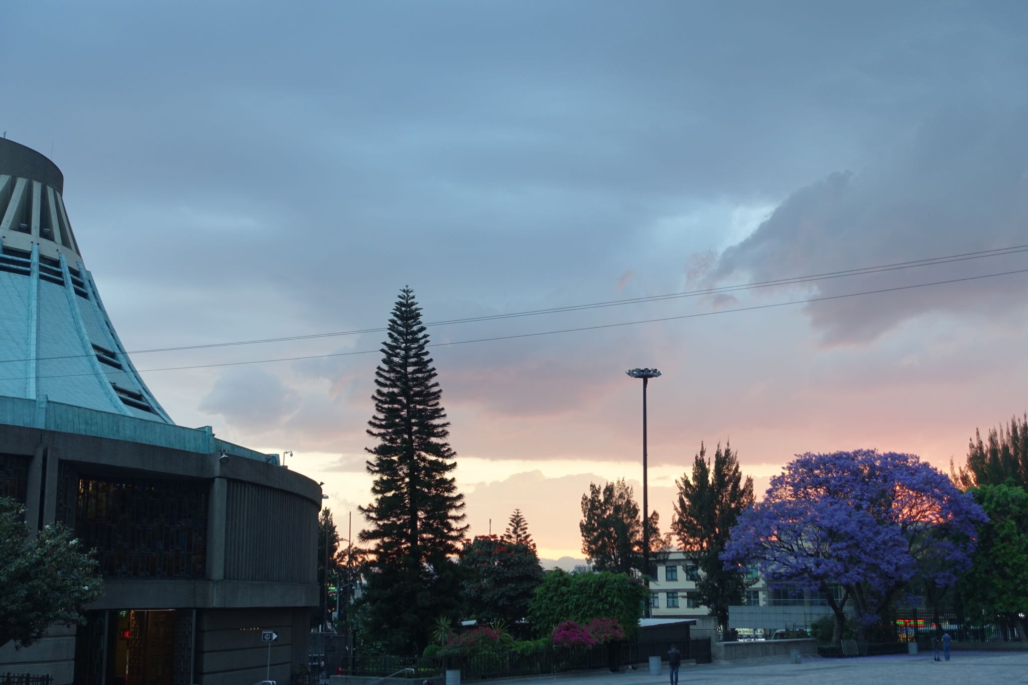 Photo 331 of 362 from the album Highlights Mexico 2019.