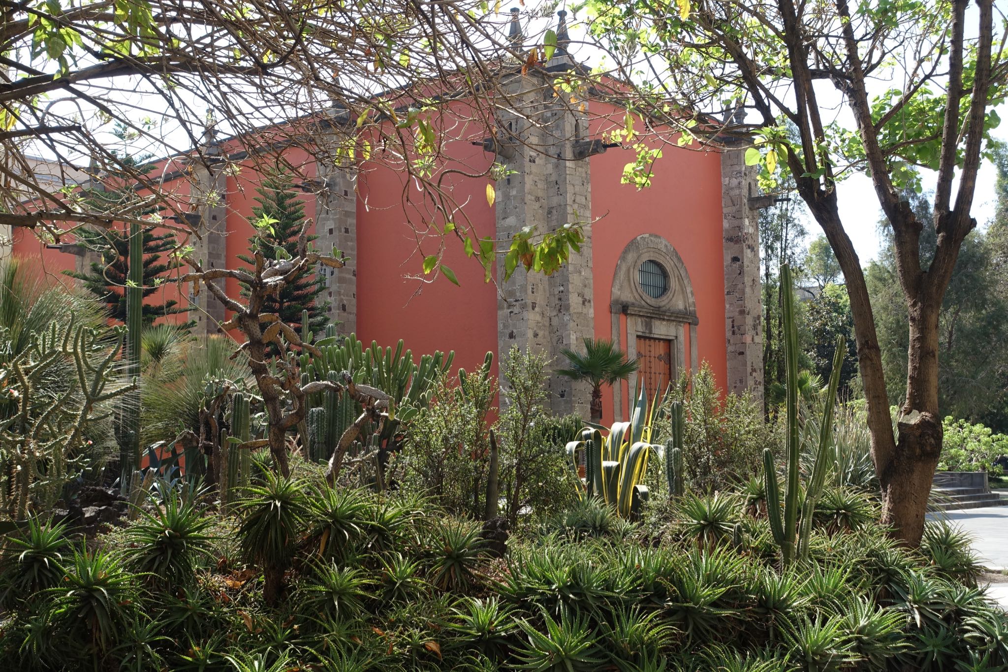 Photo 341 of 362 from the album Highlights Mexico 2019.