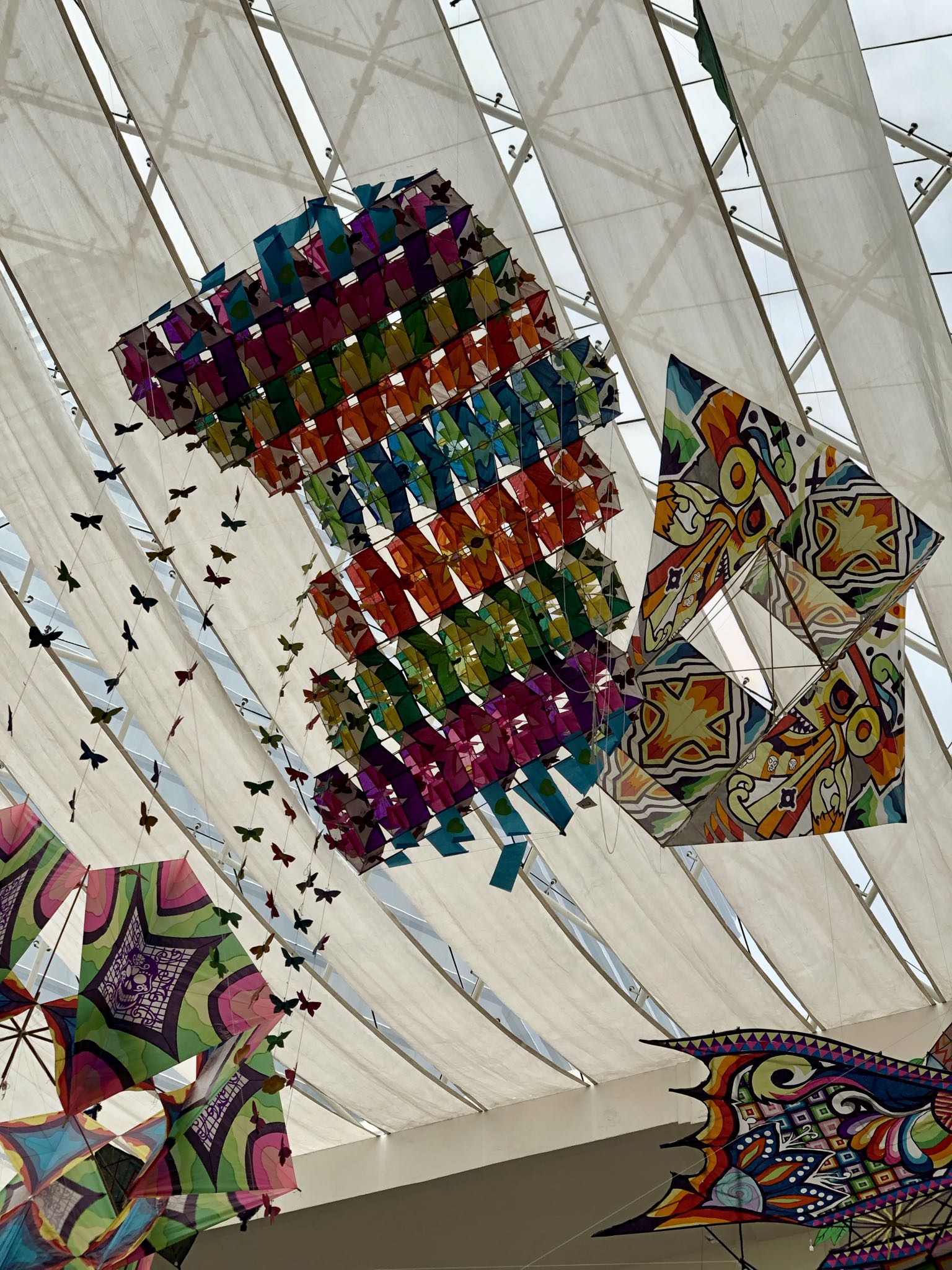 Photo 35 of 362 from the album Highlights Mexico 2019.