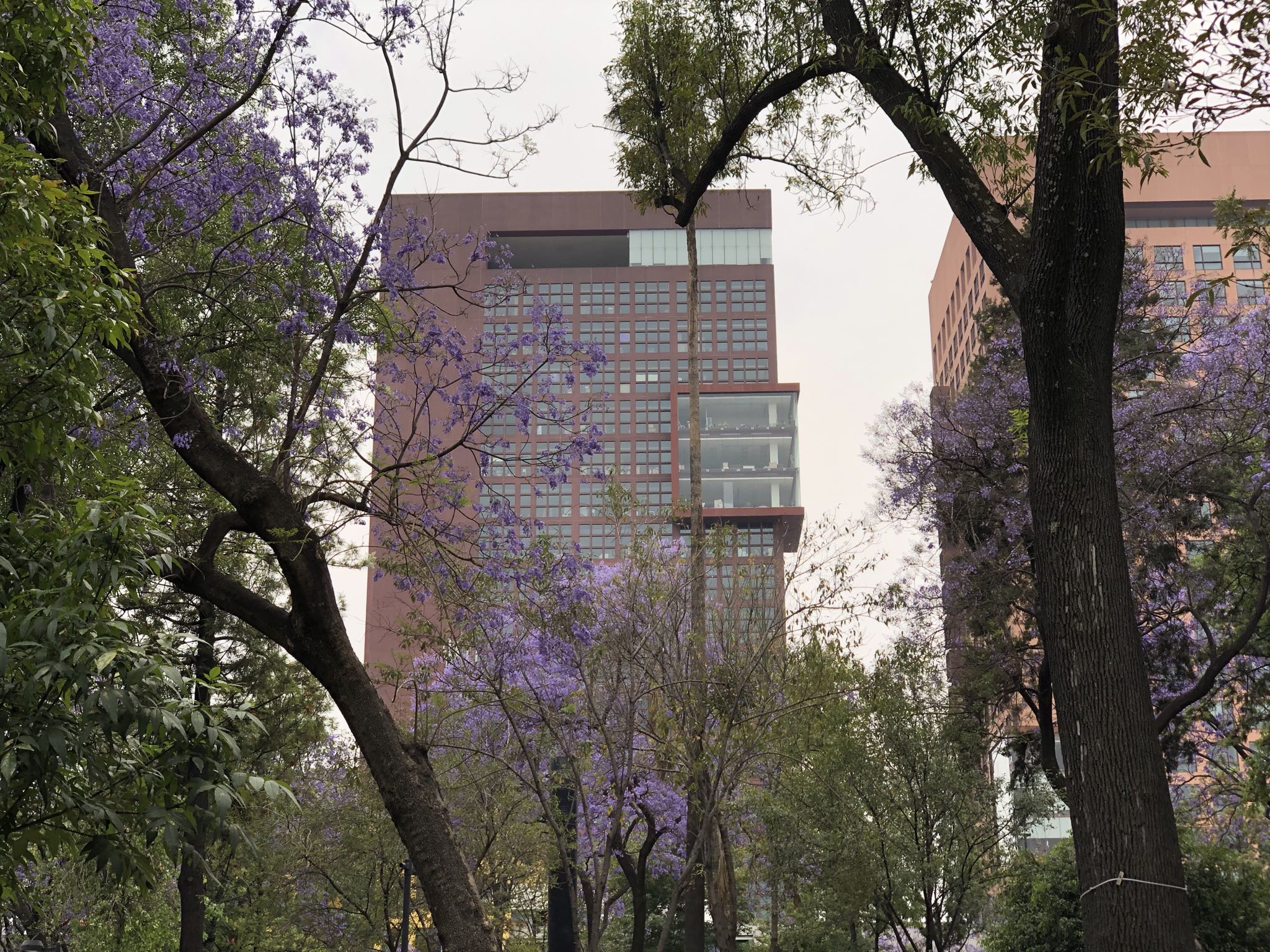 Photo 39 of 362 from the album Highlights Mexico 2019.