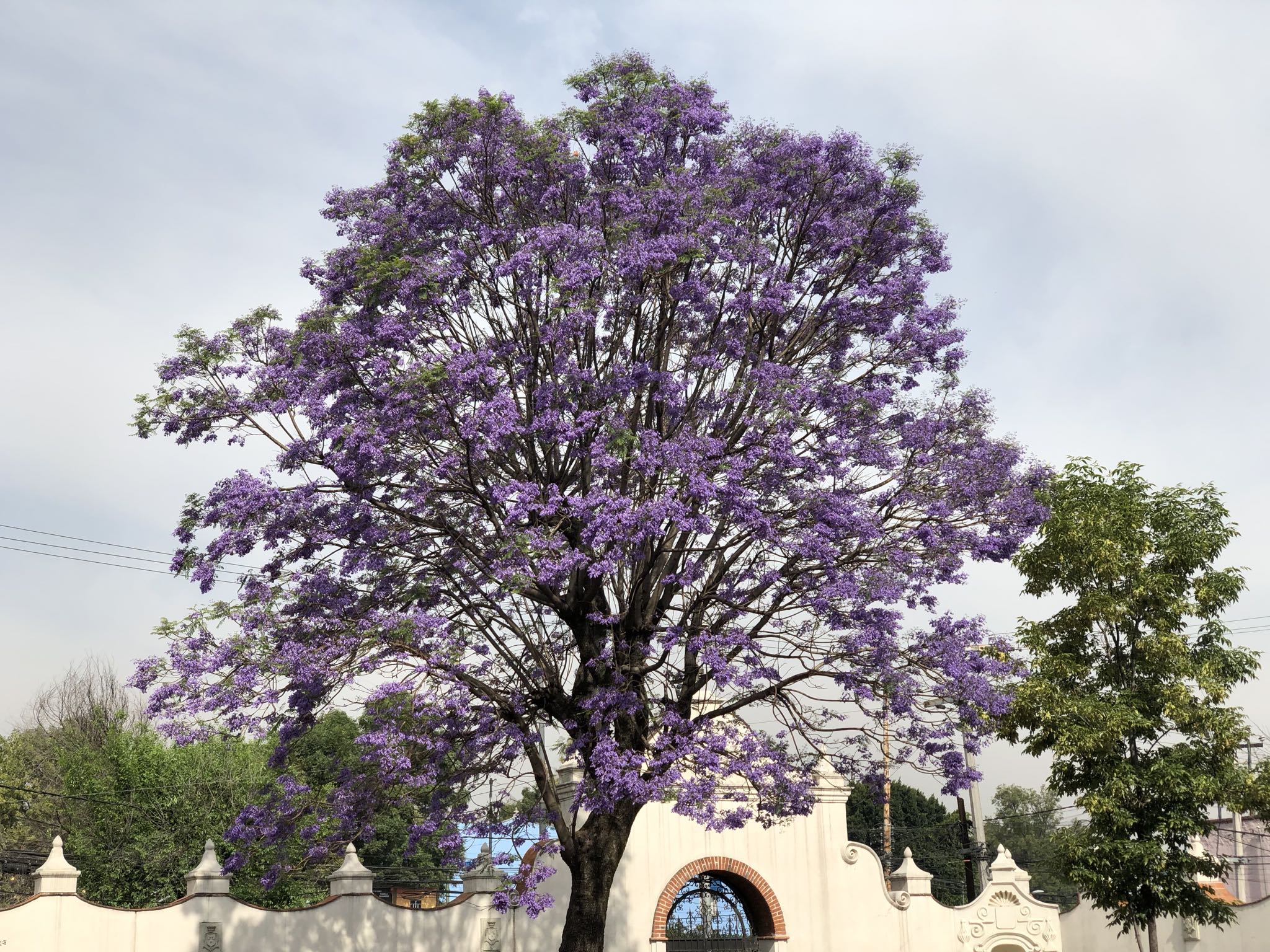 Photo 5 of 362 from the album Highlights Mexico 2019.