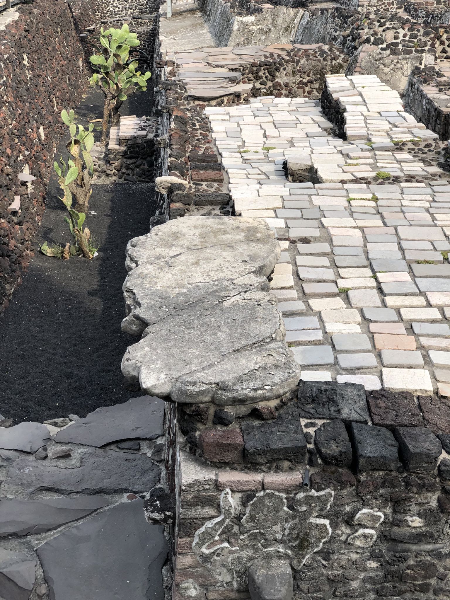 Photo 58 of 362 from the album Highlights Mexico 2019.