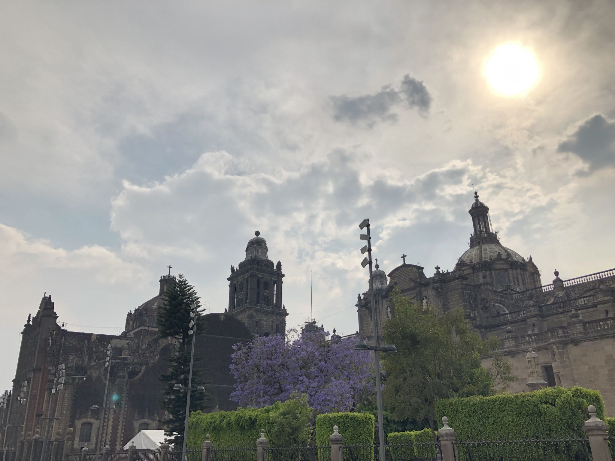 Photo 59 of 362 from the album Highlights Mexico 2019.