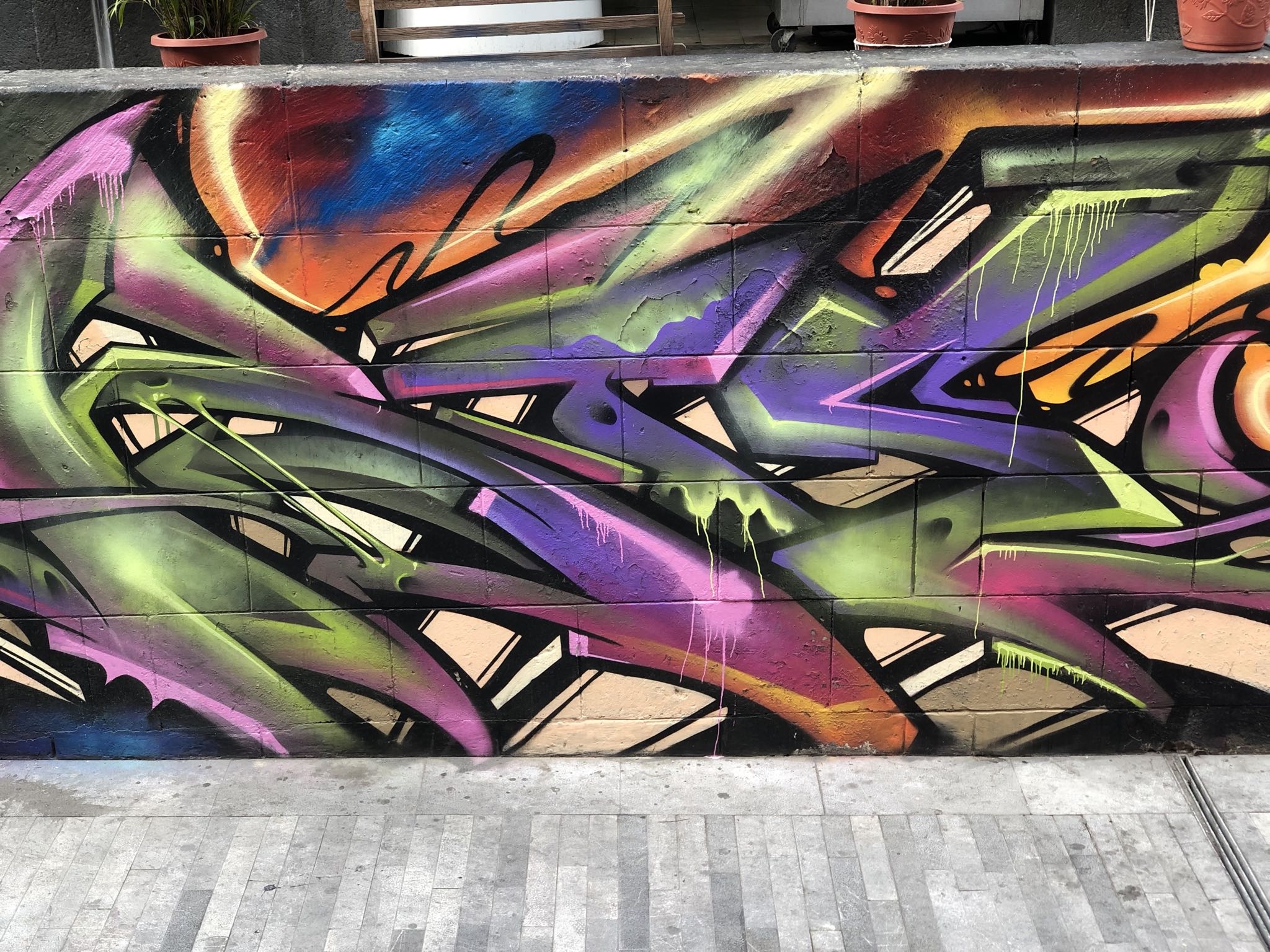 Photo 61 of 362 from the album Highlights Mexico 2019.