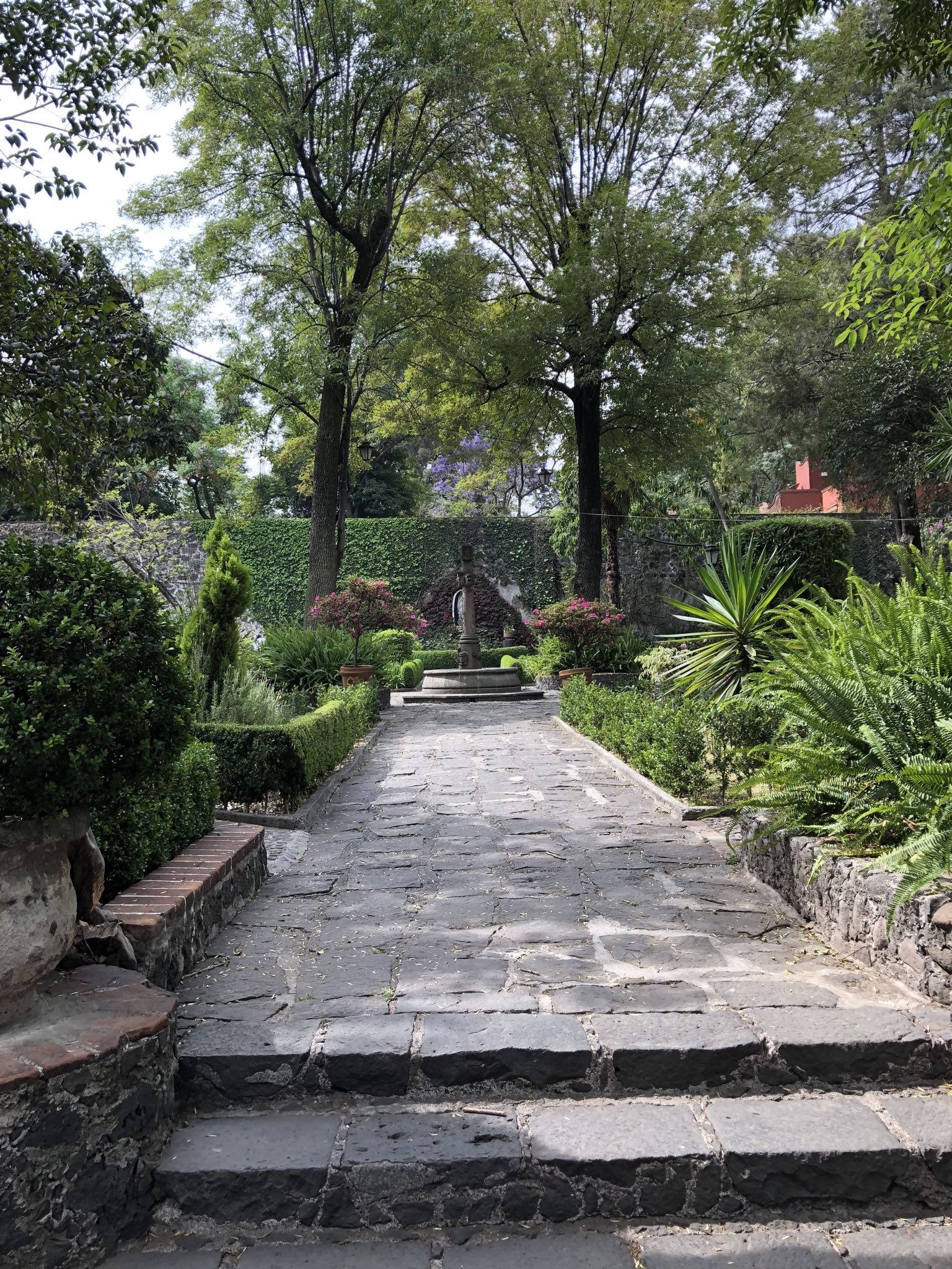 Photo 7 of 362 from the album Highlights Mexico 2019.