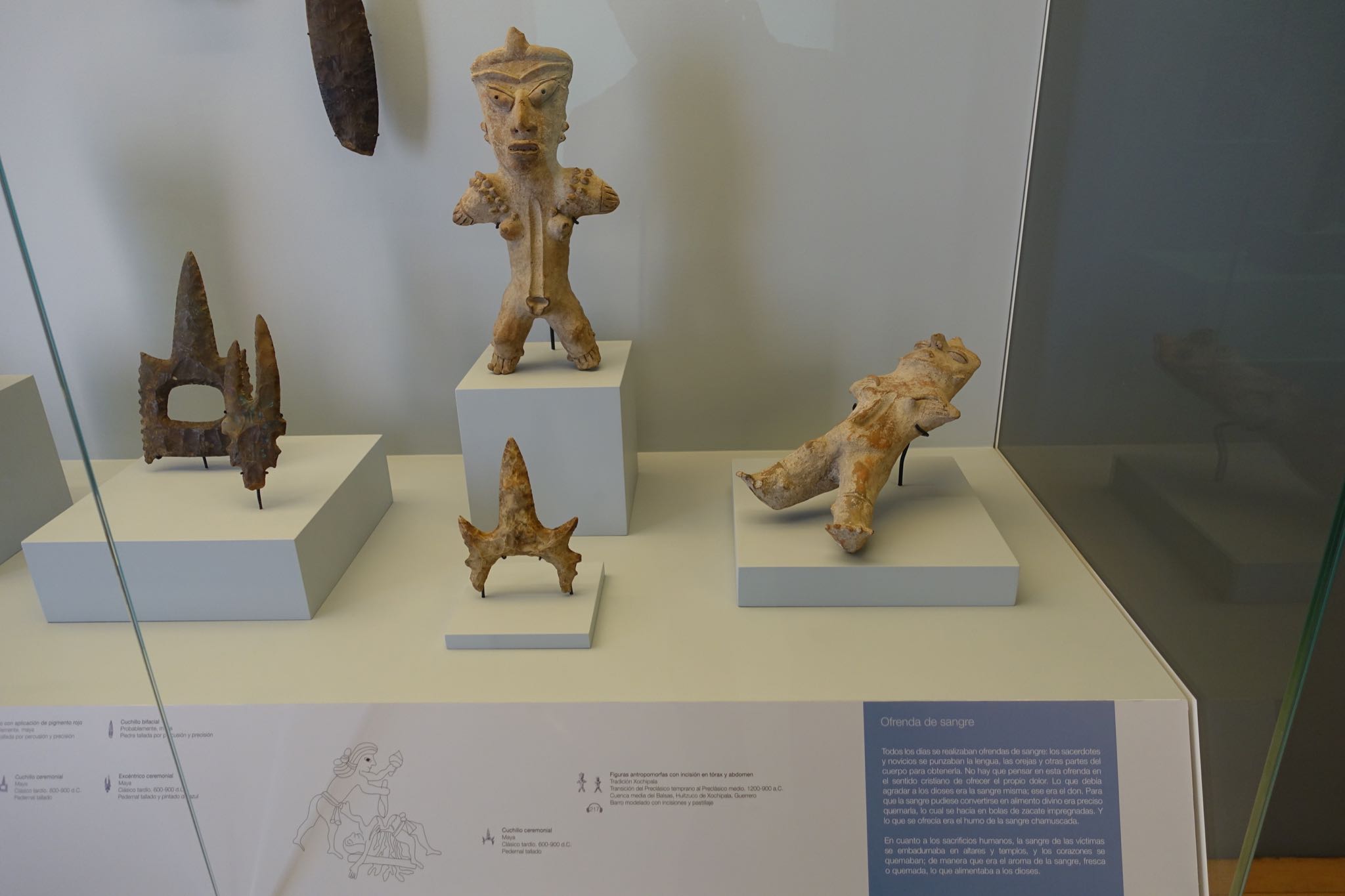 Photo 86 of 362 from the album Highlights Mexico 2019.