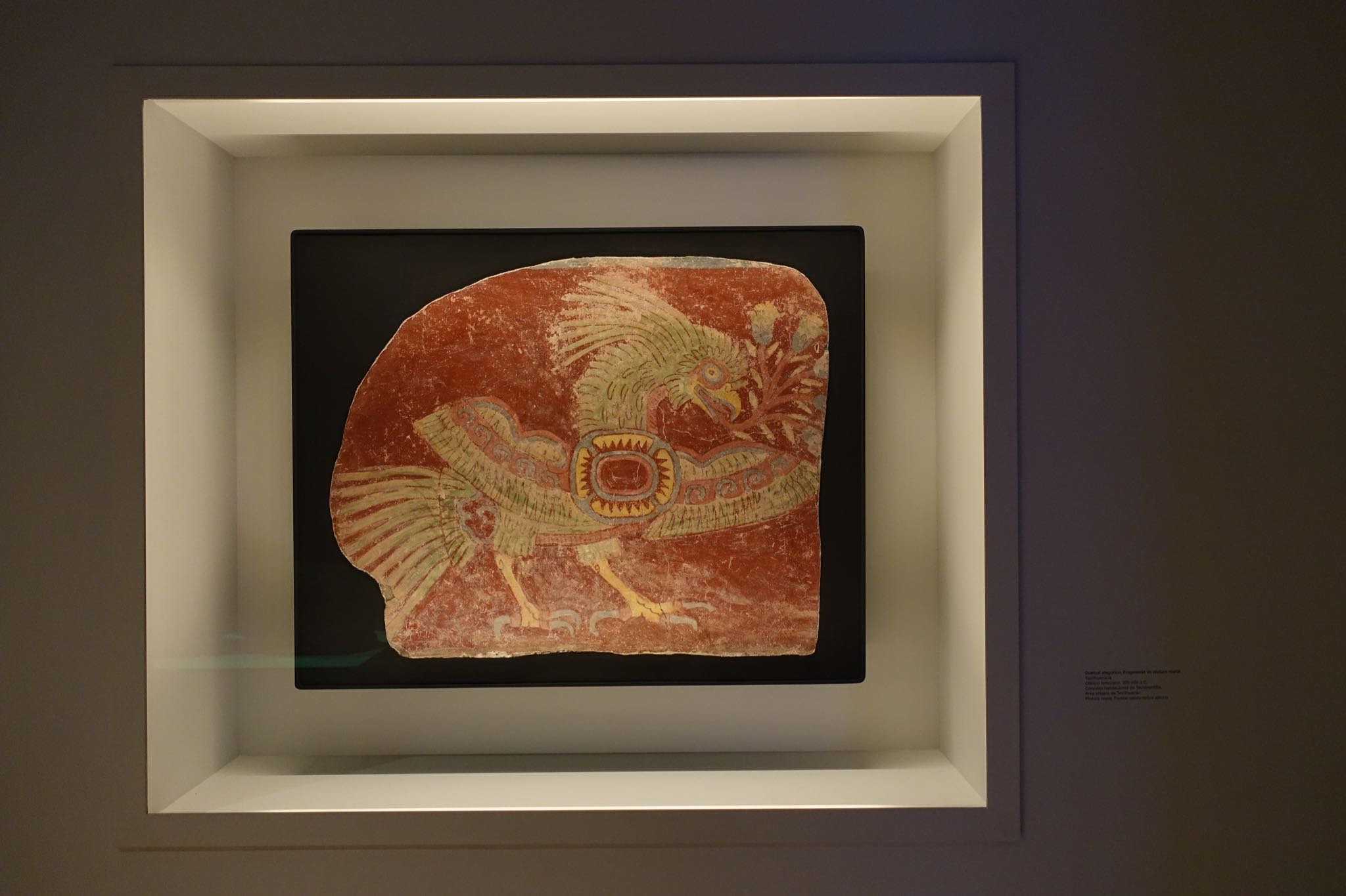 Photo 90 of 362 from the album Highlights Mexico 2019.