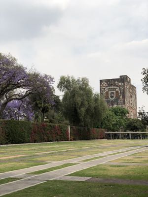 Thumbnail 11 of 362.