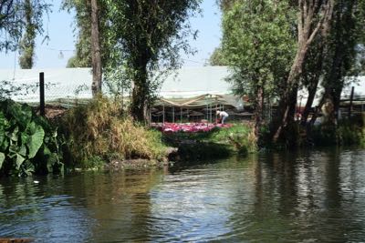 Thumbnail 150 of 362.