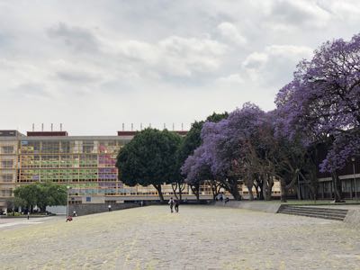 Thumbnail 17 of 362.