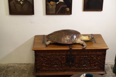 Thumbnail 189 of 362.