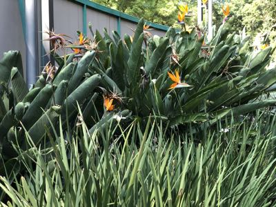 Thumbnail 198 of 362.