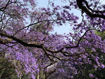 Thumbnail 199 of 362.