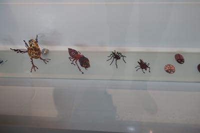 Thumbnail 21 of 362.