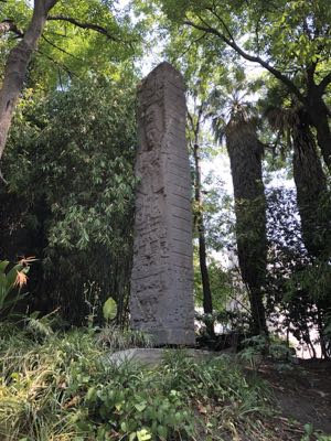 Thumbnail 219 of 362.