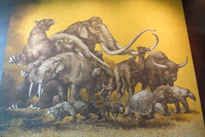 Thumbnail 263 of 362.