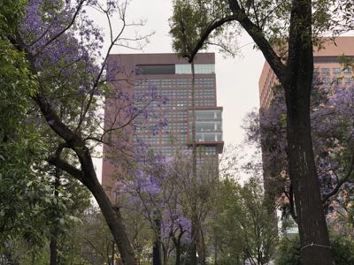 Thumbnail 39 of 362.