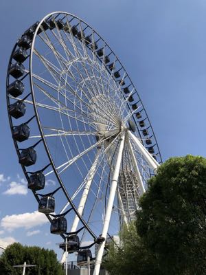 Thumbnail 97 of 362.